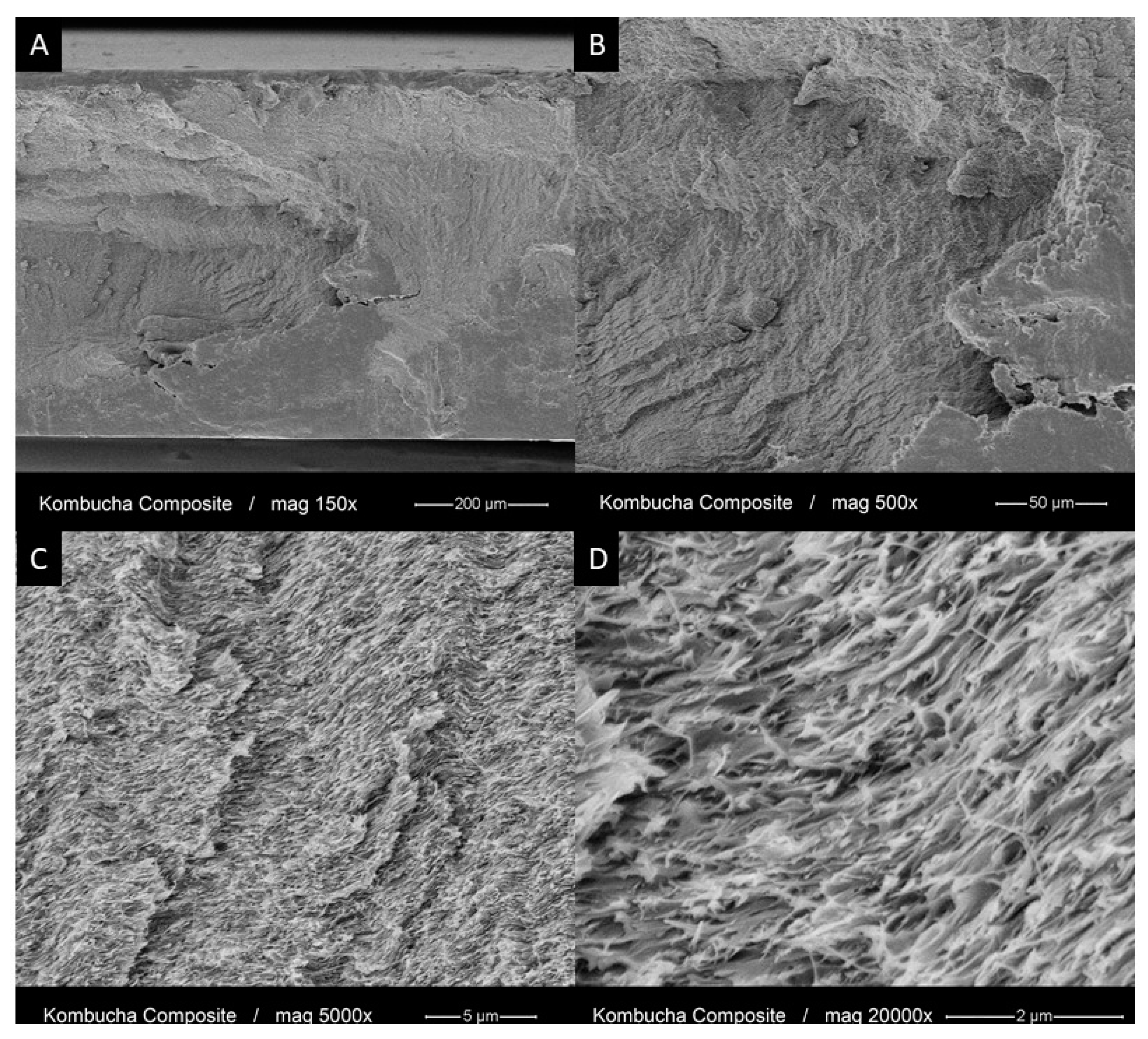 Polymers 13 00664 g007 Polymers 13 00664 g007