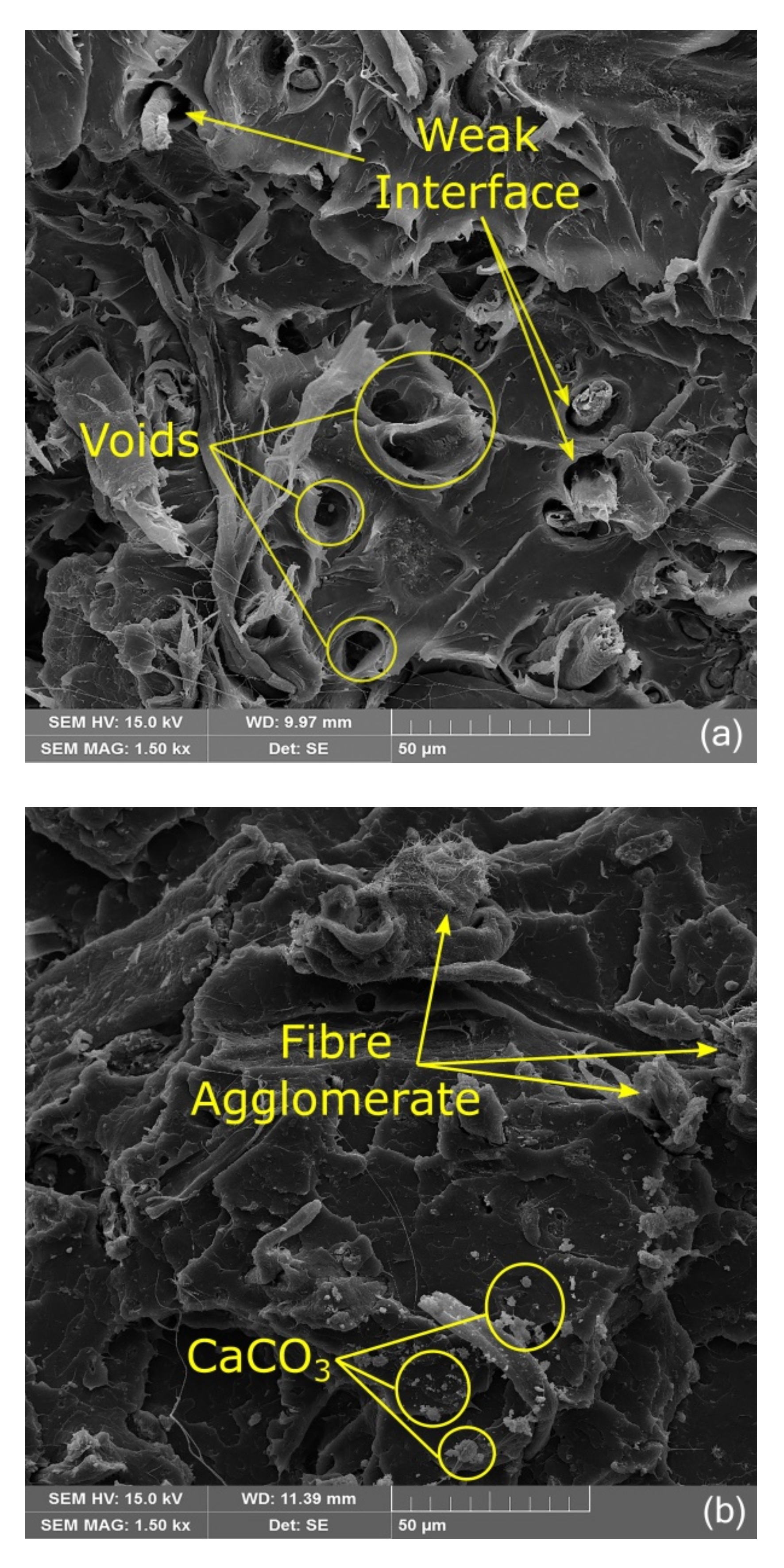 Polymers 13 00672 g006a Polymers 13 00672 g006a