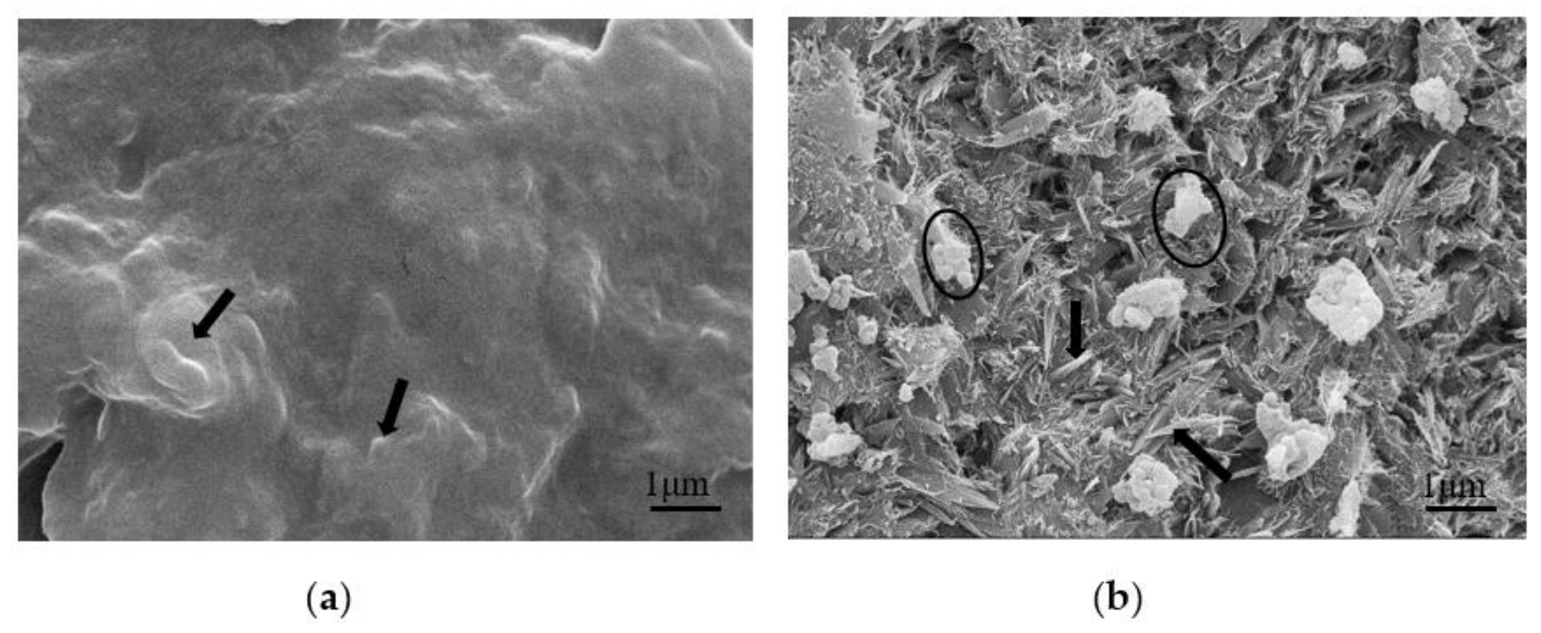 Polymers 13 00673 g007 Polymers 13 00673 g007