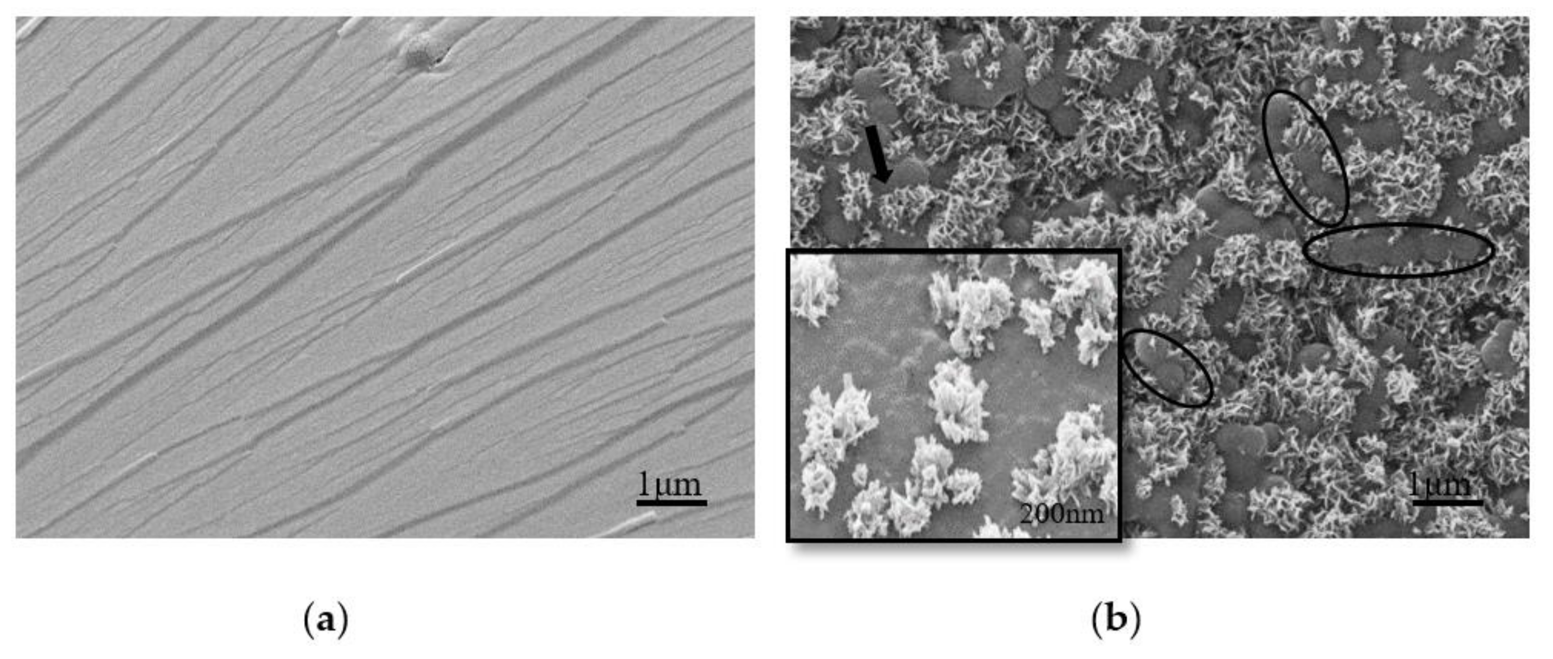 Polymers 13 00673 g008 Polymers 13 00673 g008