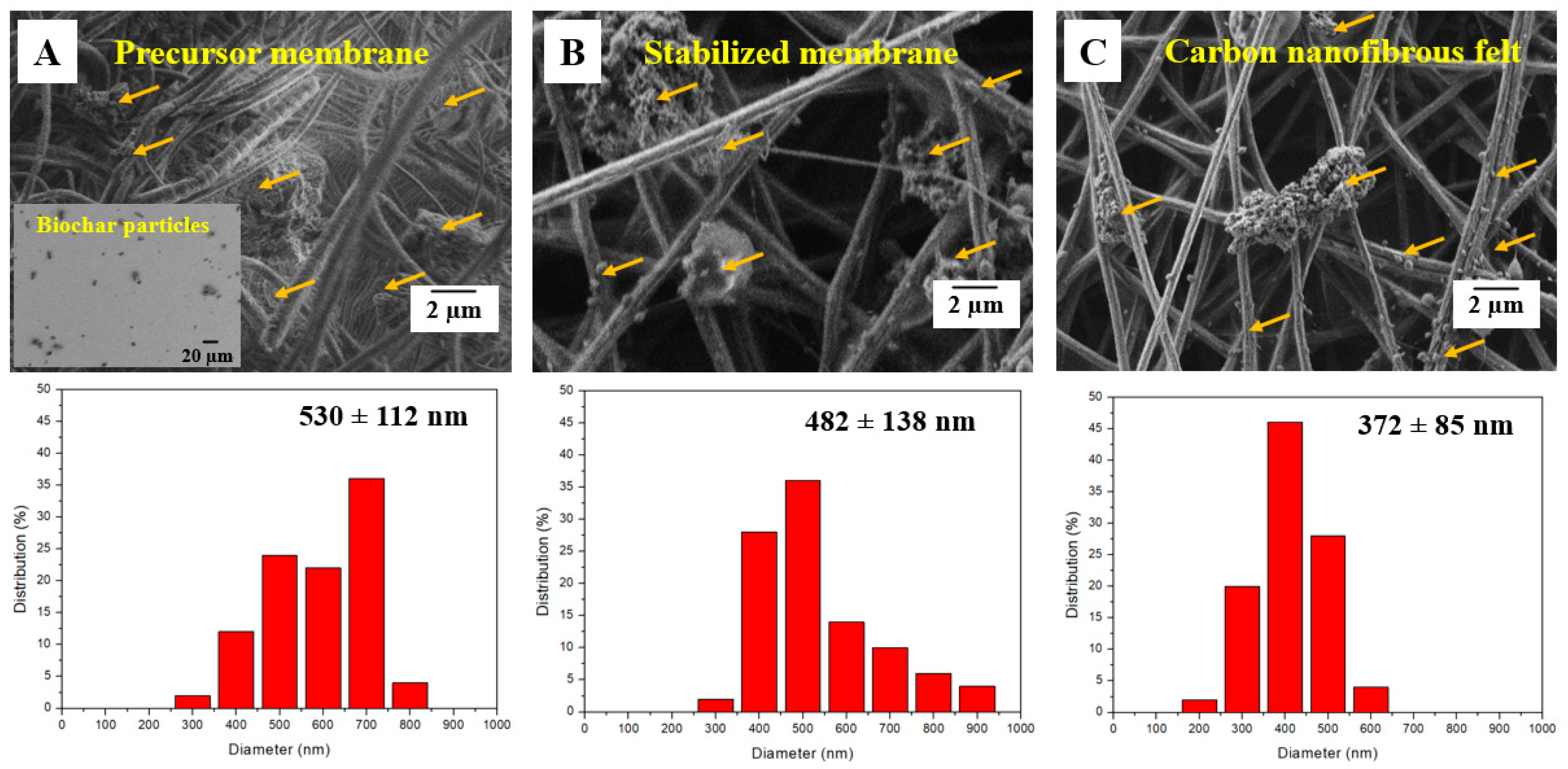 Polymers 13 00676 g003 Polymers 13 00676 g003