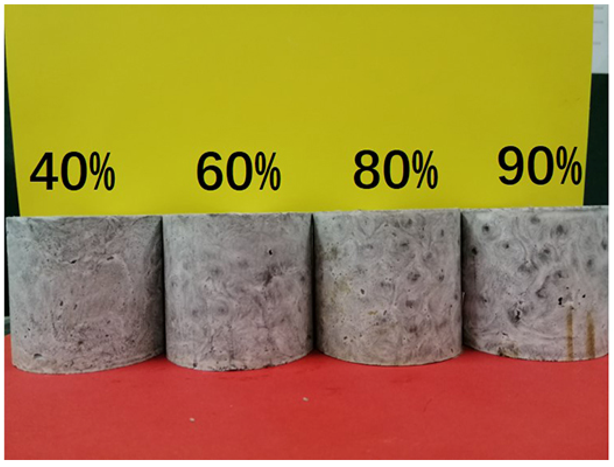 Polymers 13 00683 g006