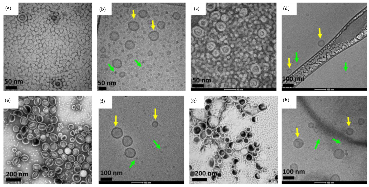 Polymers Free Full Text Supramolecular Functionalizable Linear Dendritic Block Copolymers For The Preparation Of Nanocarriers By Microfluidics Html Polymers Free Full Text Supramolecular Functionalizable Linear Dendritic Block Copolymers For The Preparation Of Nanocarriers By Microfluidics Html