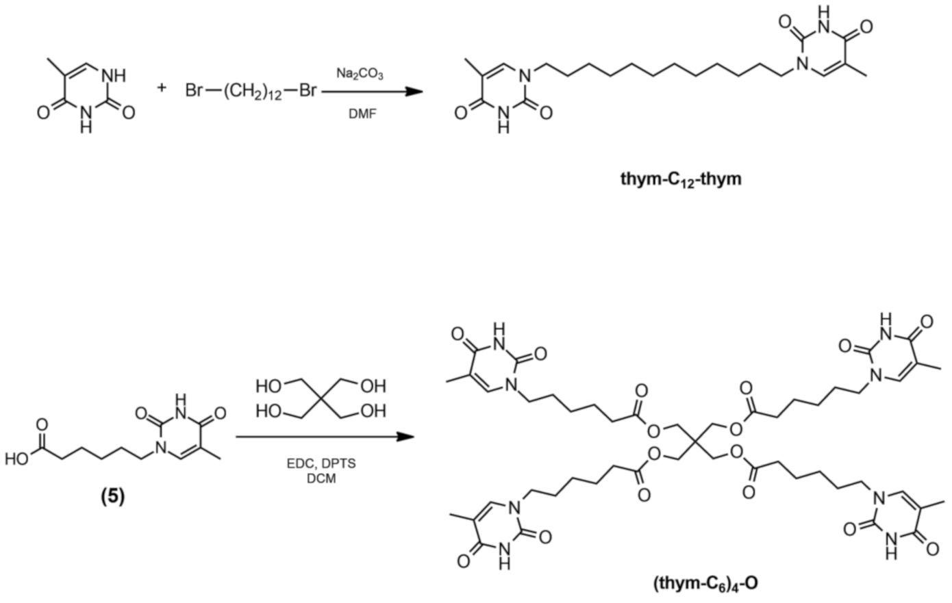 Polymers 13 00684 sch004