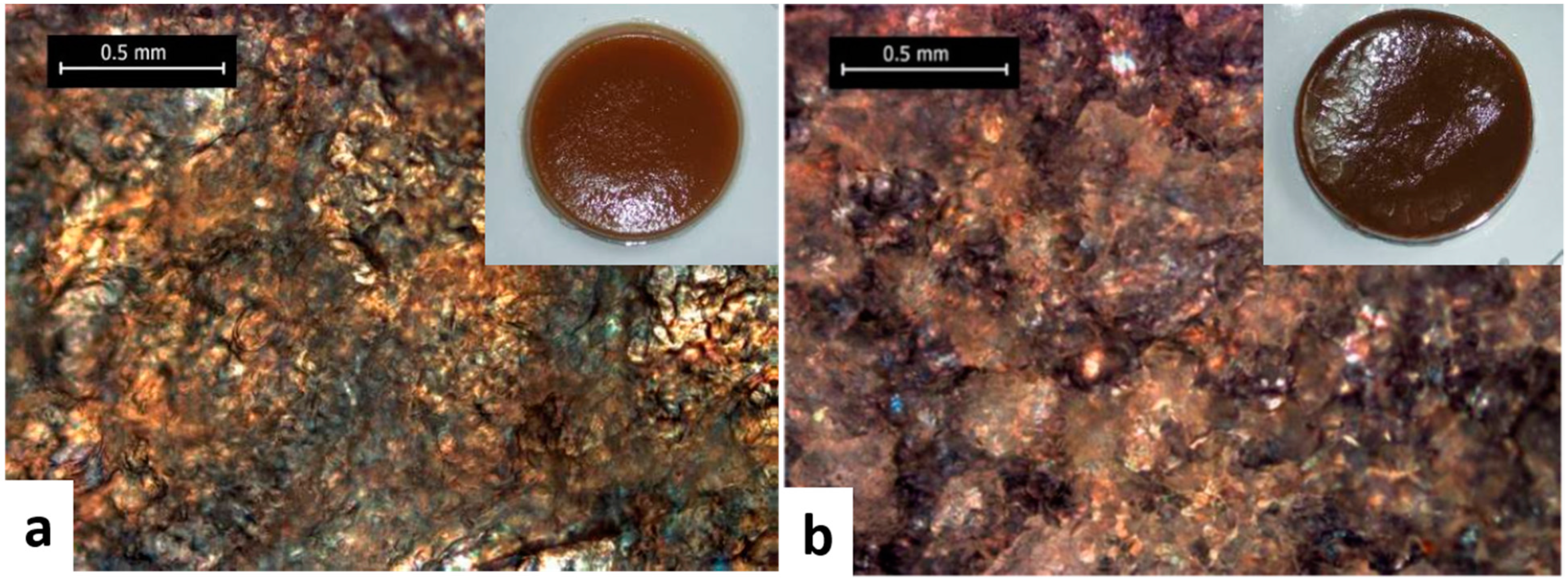Polymers 13 00689 g009