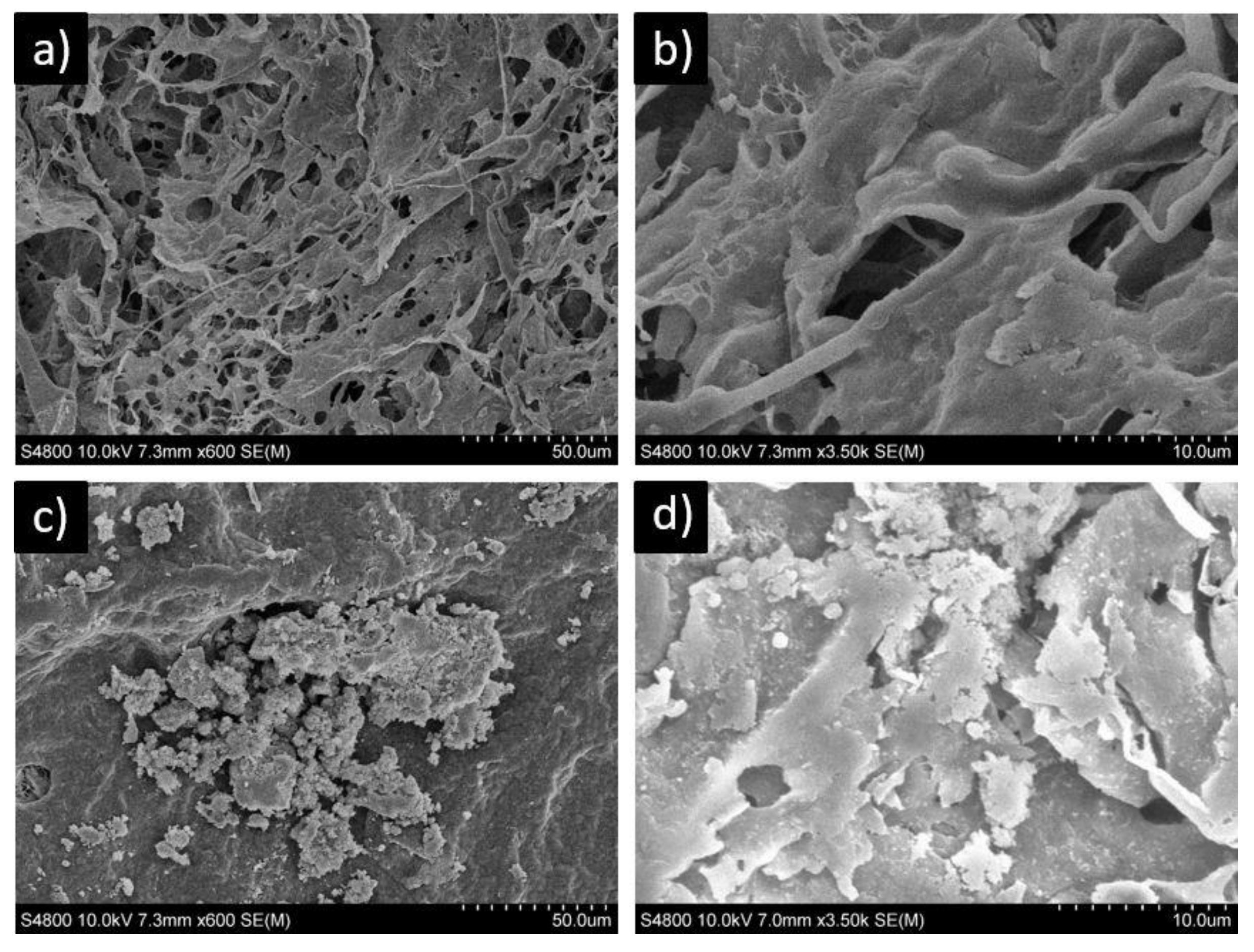 Polymers 13 00691 g005