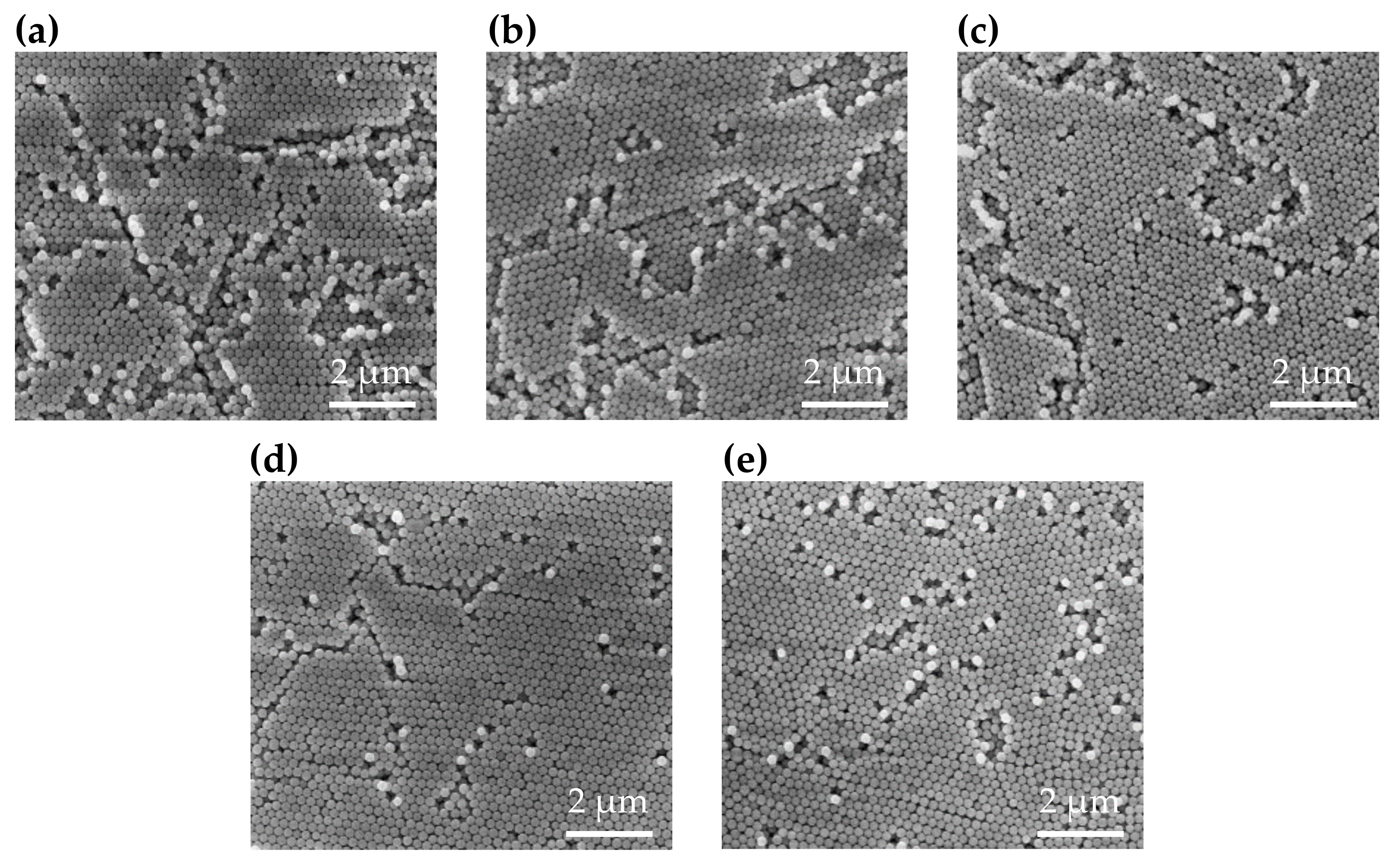 Polymers 13 00692 g004