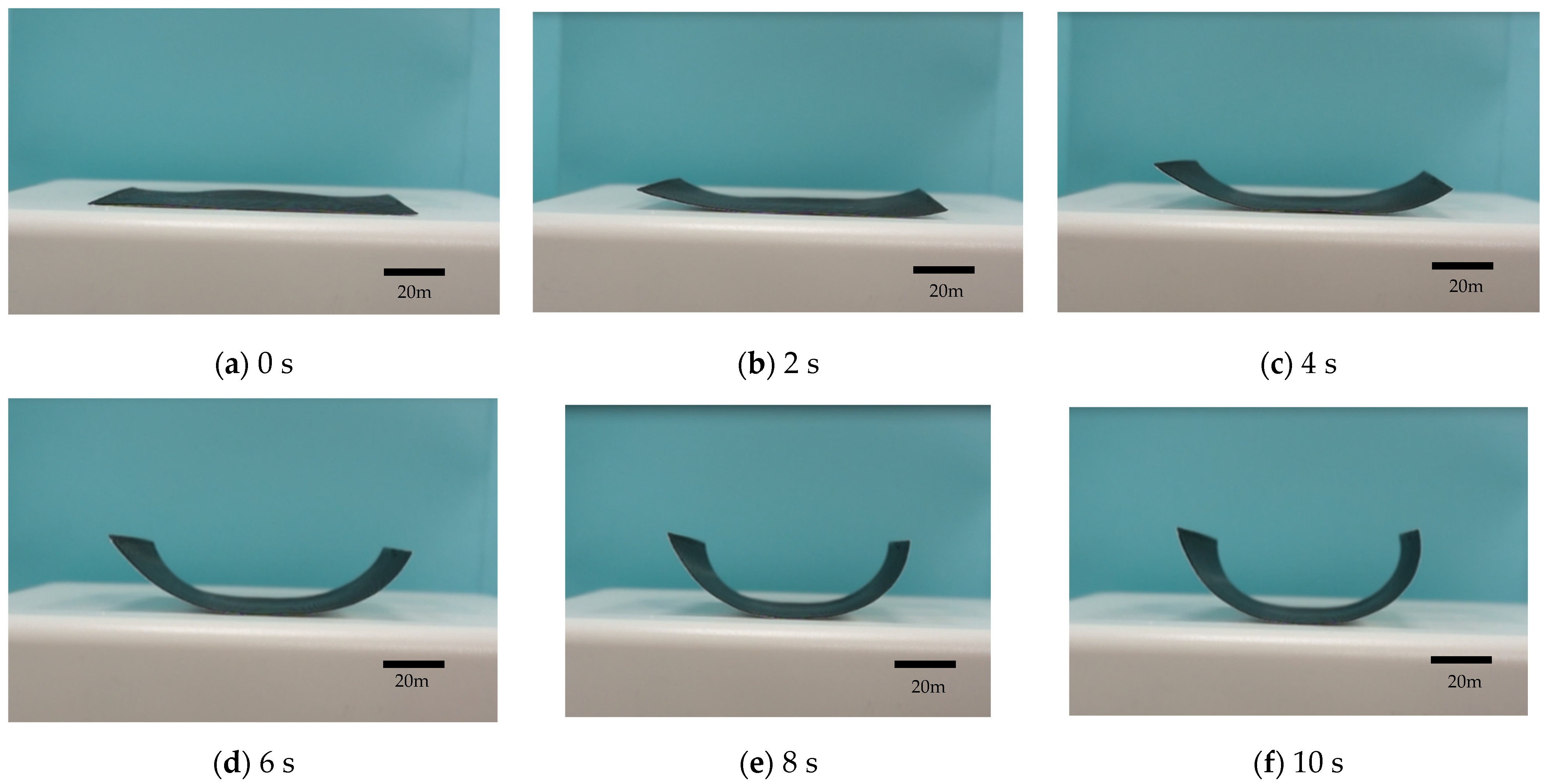 Polymers 13 00697 g007a