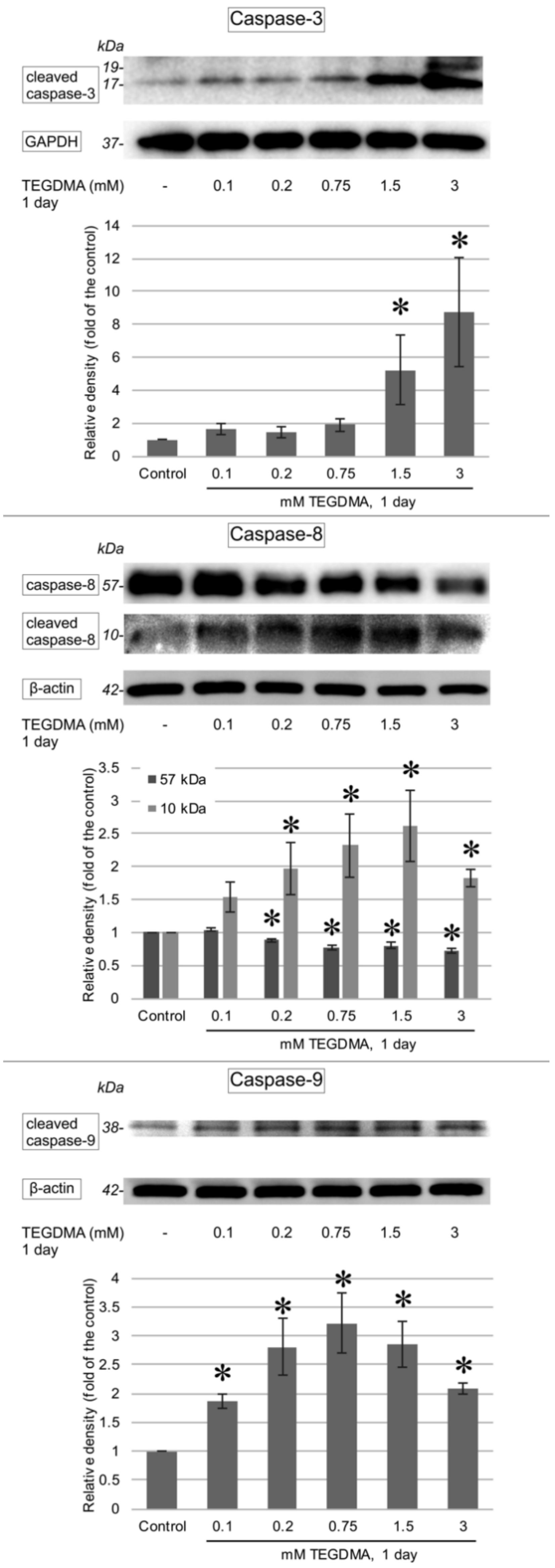 Polymers 13 00699 g007 Polymers 13 00699 g007