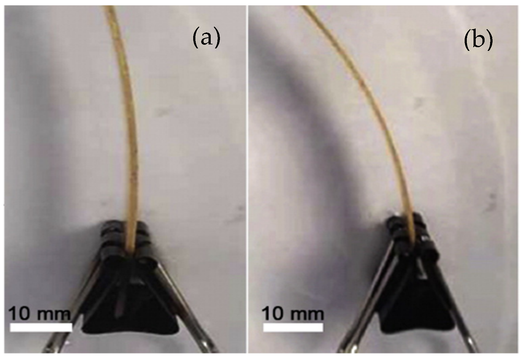Polymers 13 00701 g005