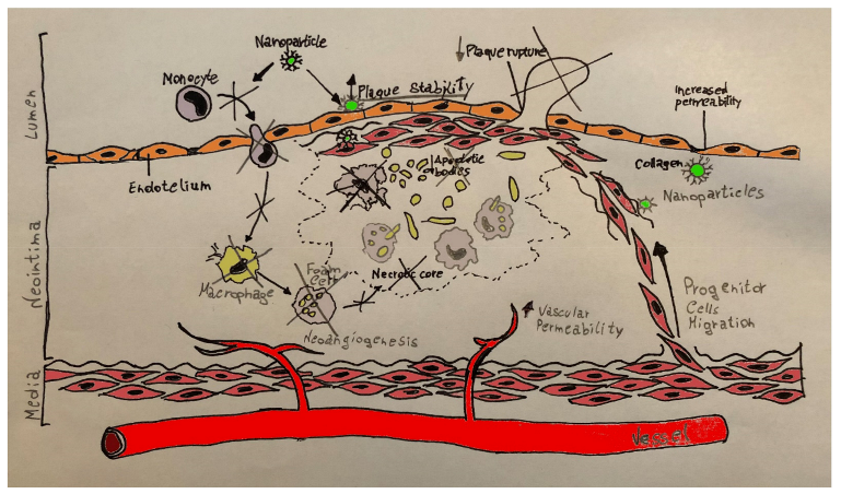 Polymers 13 00711 g003 Polymers 13 00711 g003