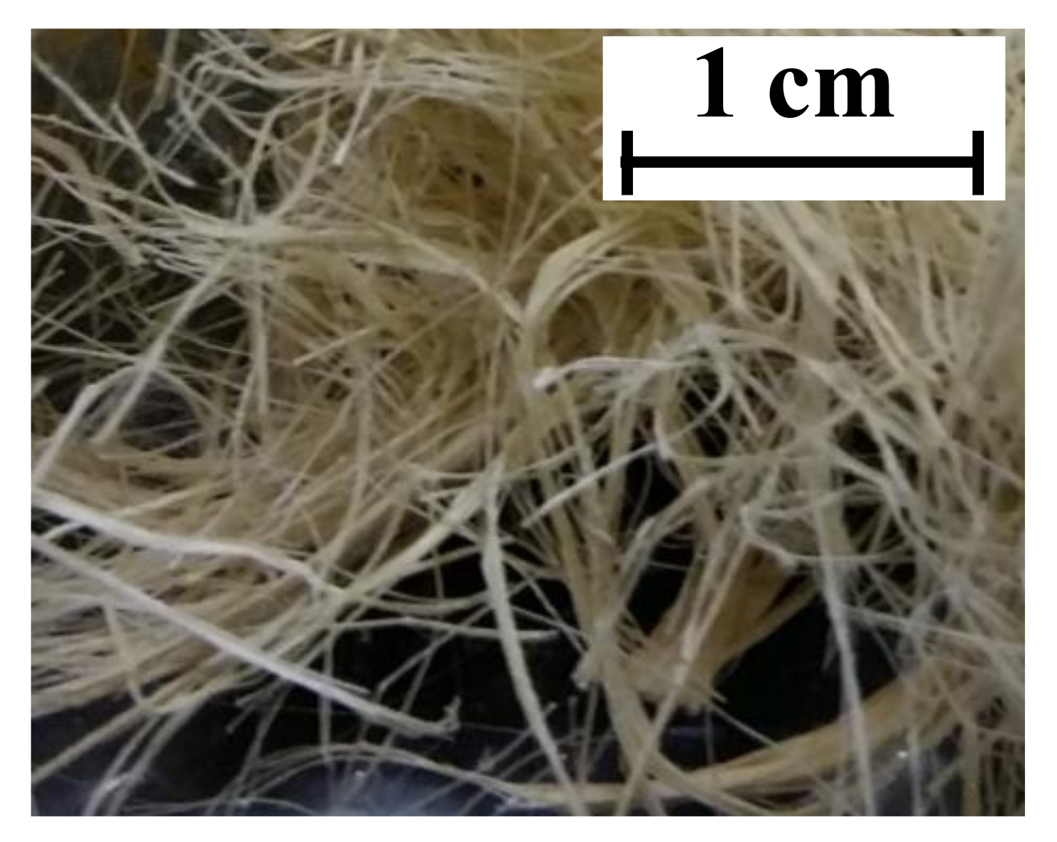 Polymers 13 00715 g002 Polymers 13 00715 g002