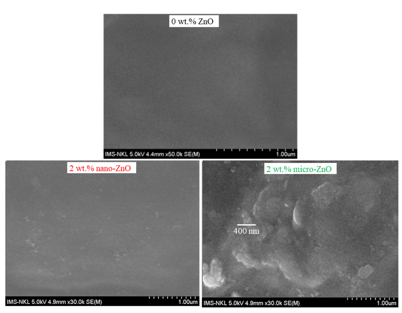 Polymers 13 00717 g002 Polymers 13 00717 g002