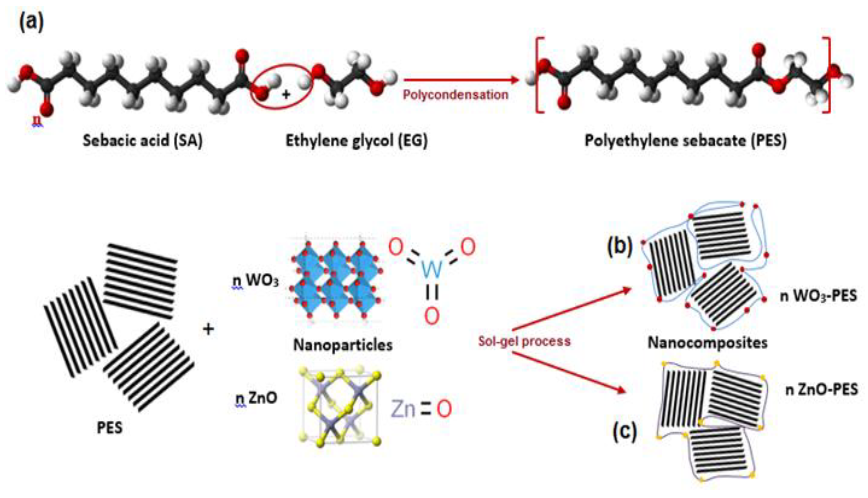 Polymers 13 00718 g001 Polymers 13 00718 g001