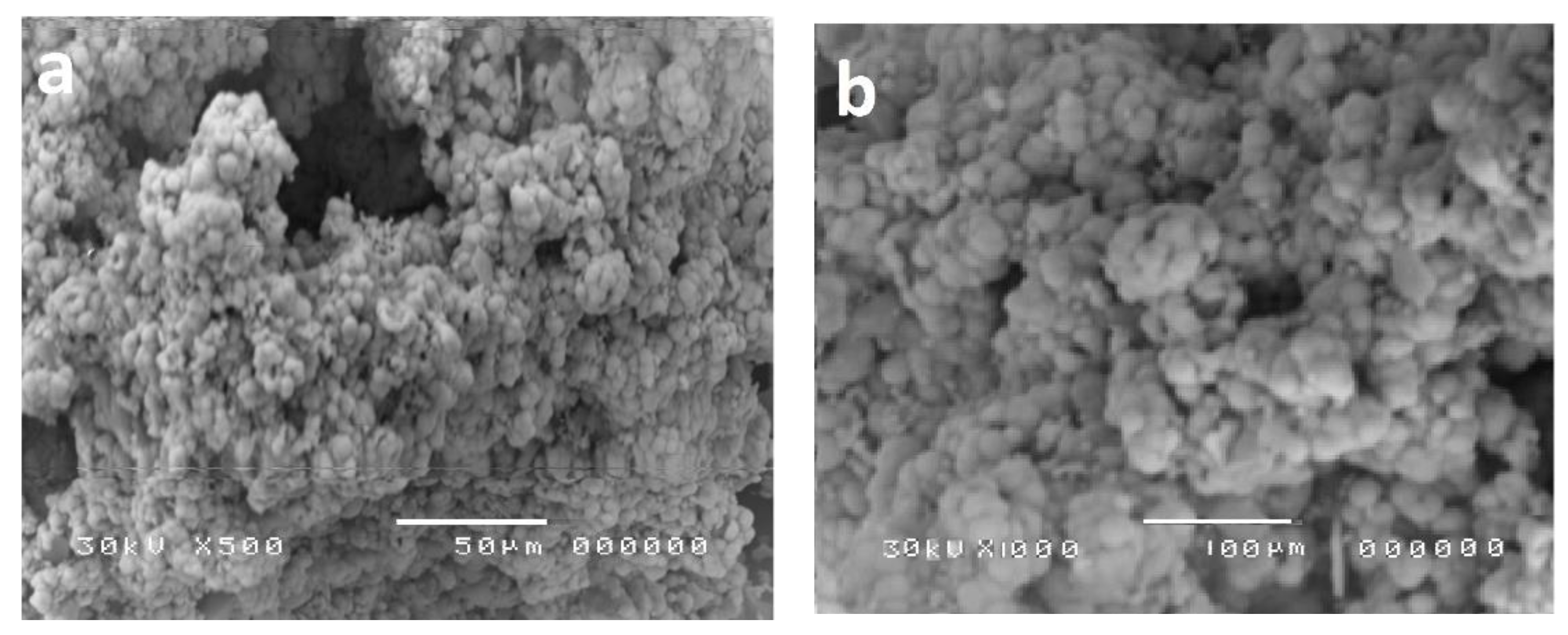 Polymers 13 00718 g004 Polymers 13 00718 g004