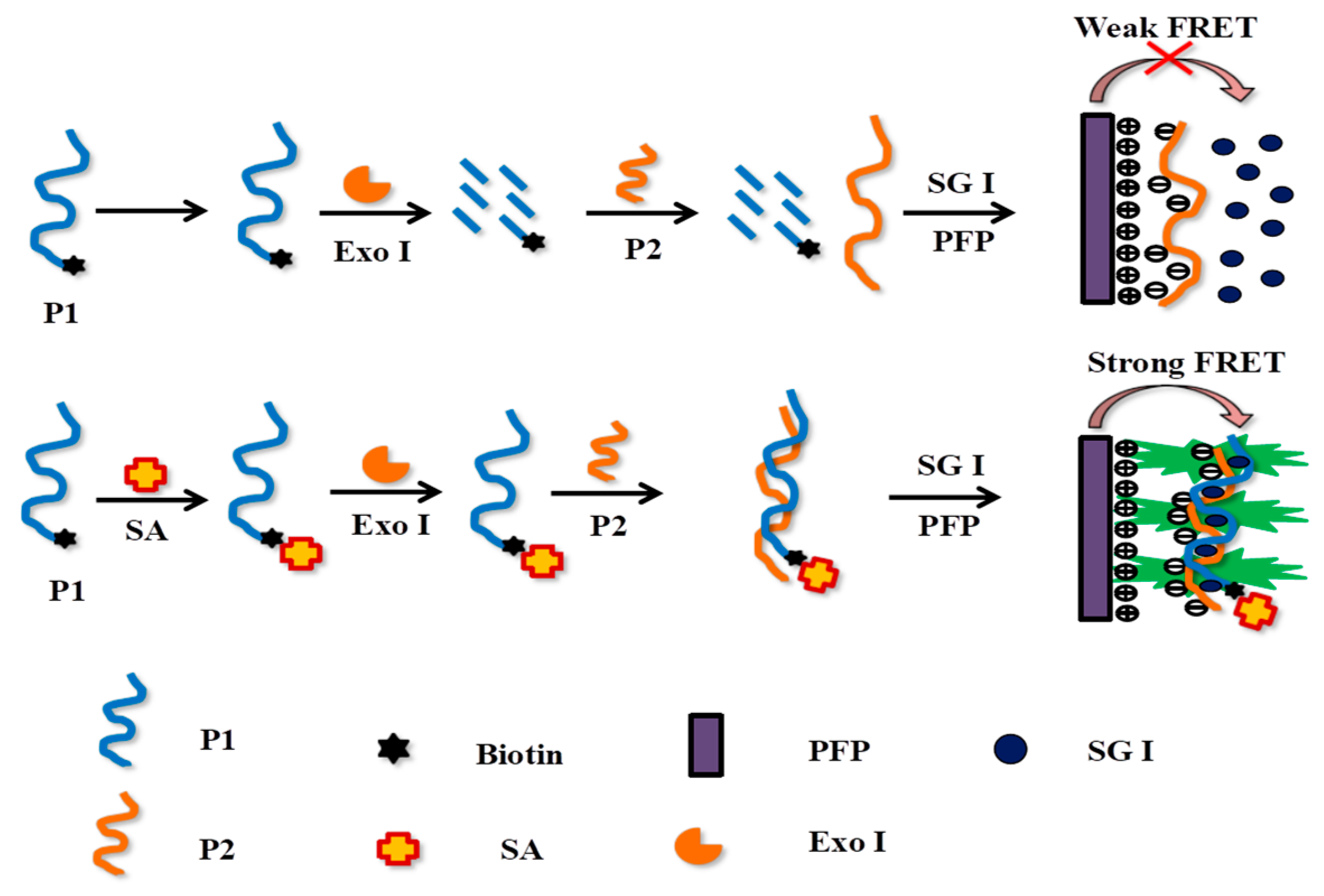 Polymers 13 00725 sch001 550