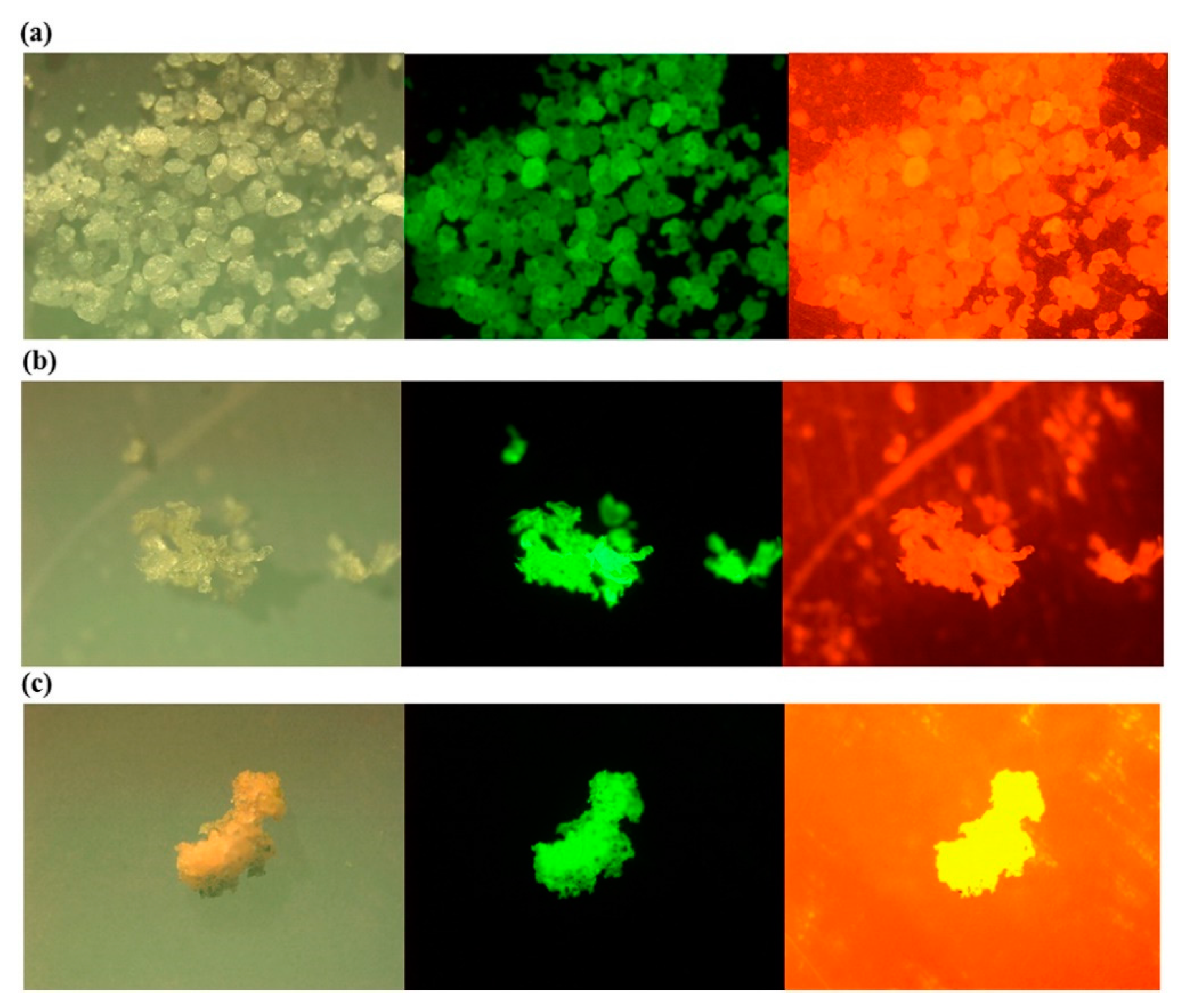 Polymers 13 00730 g005