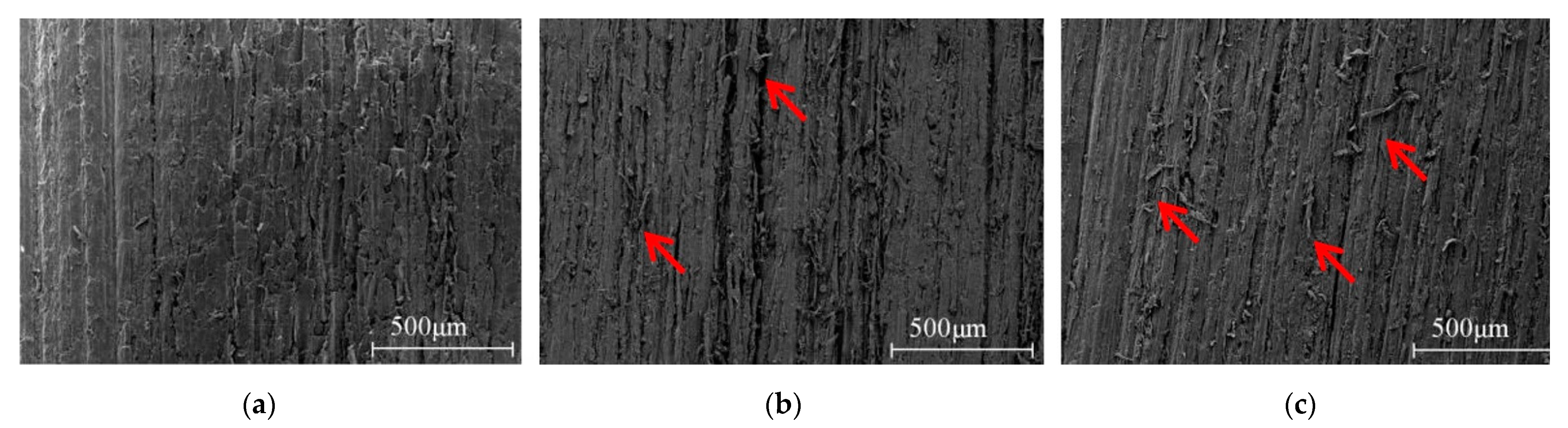 Polymers 13 00733 g005 Polymers 13 00733 g005