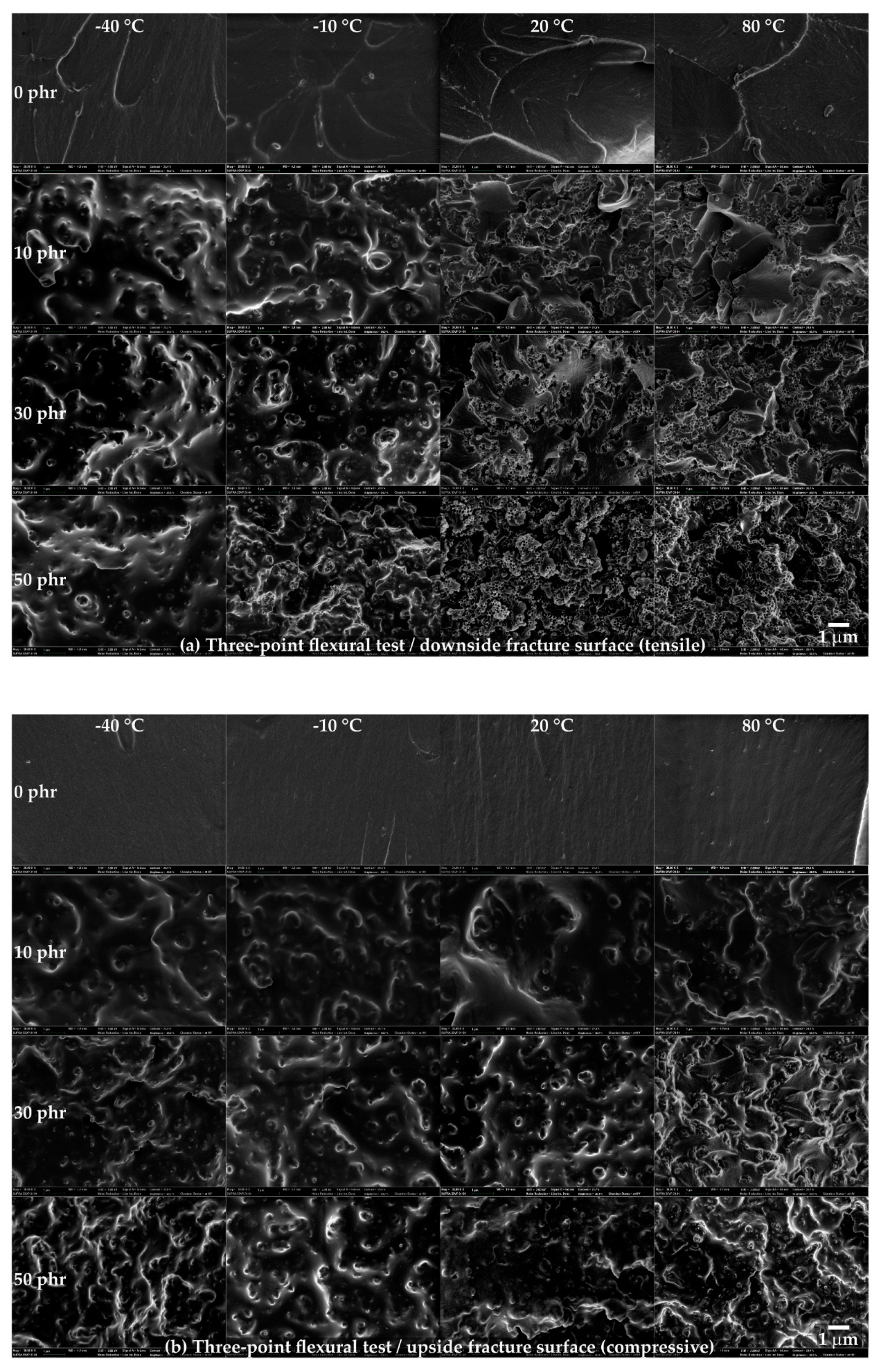 Polymers 13 00734 g007 Polymers 13 00734 g007