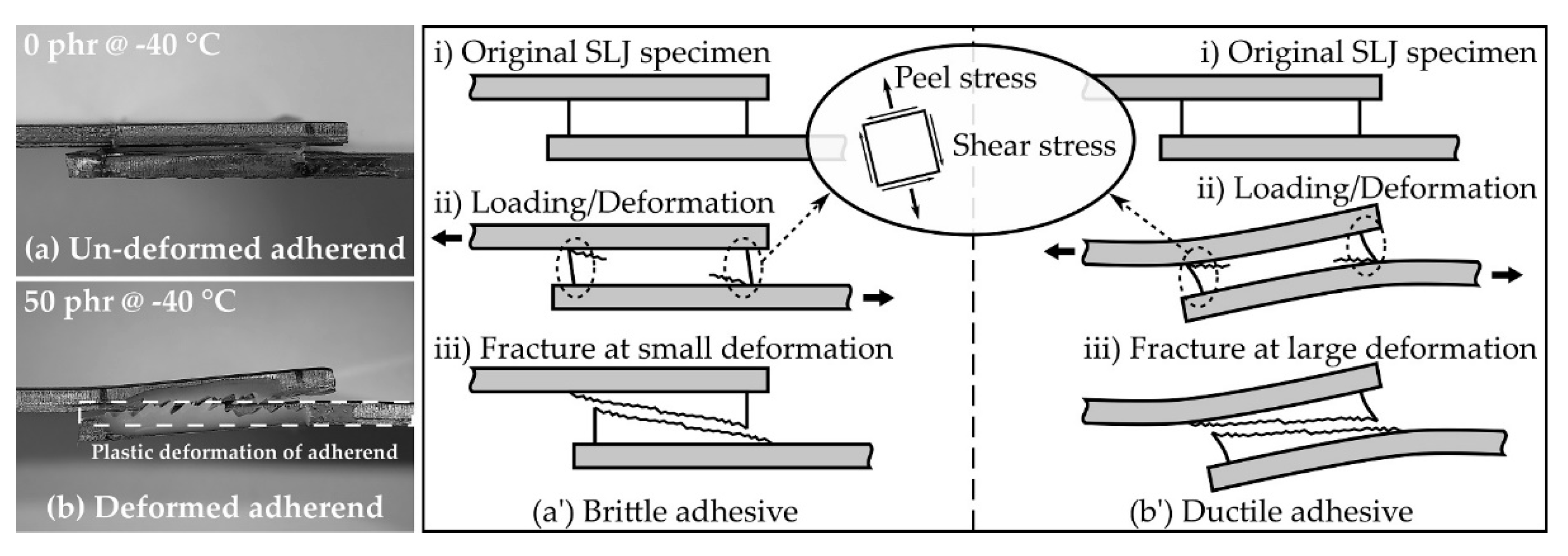 Polymers 13 00734 g010 Polymers 13 00734 g010