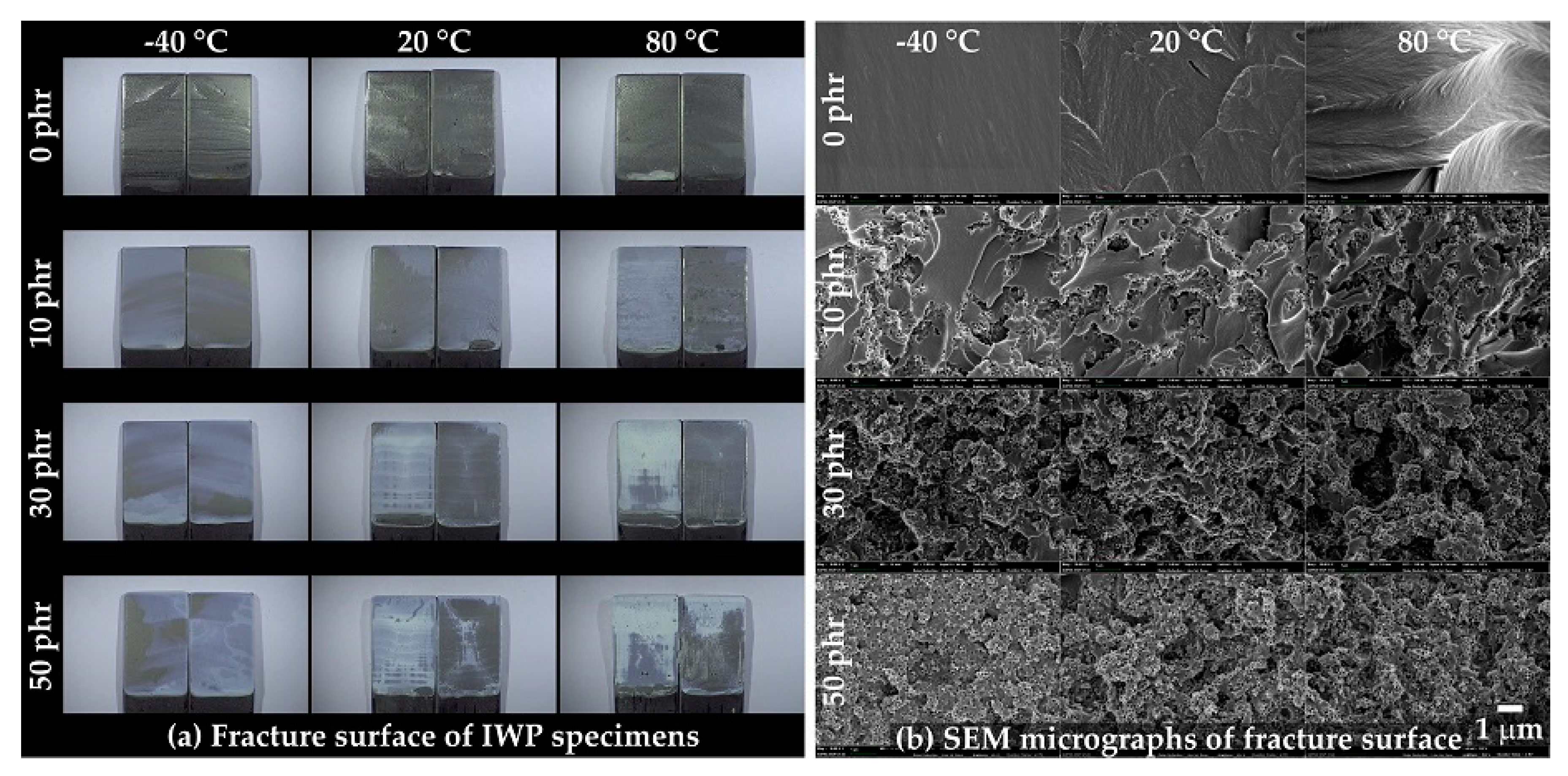 Polymers 13 00734 g014 Polymers 13 00734 g014