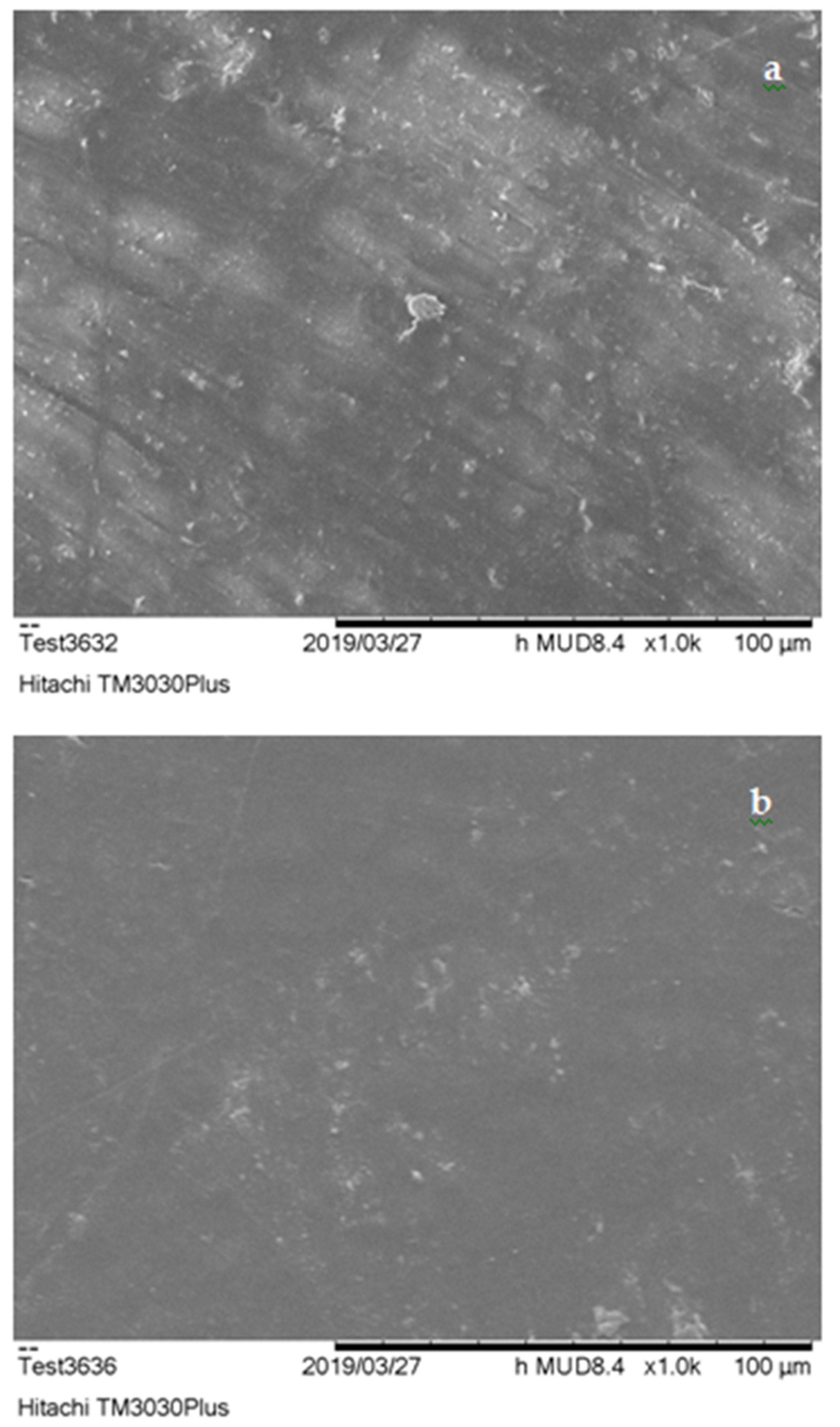 Polymers 13 00737 g004 Polymers 13 00737 g004
