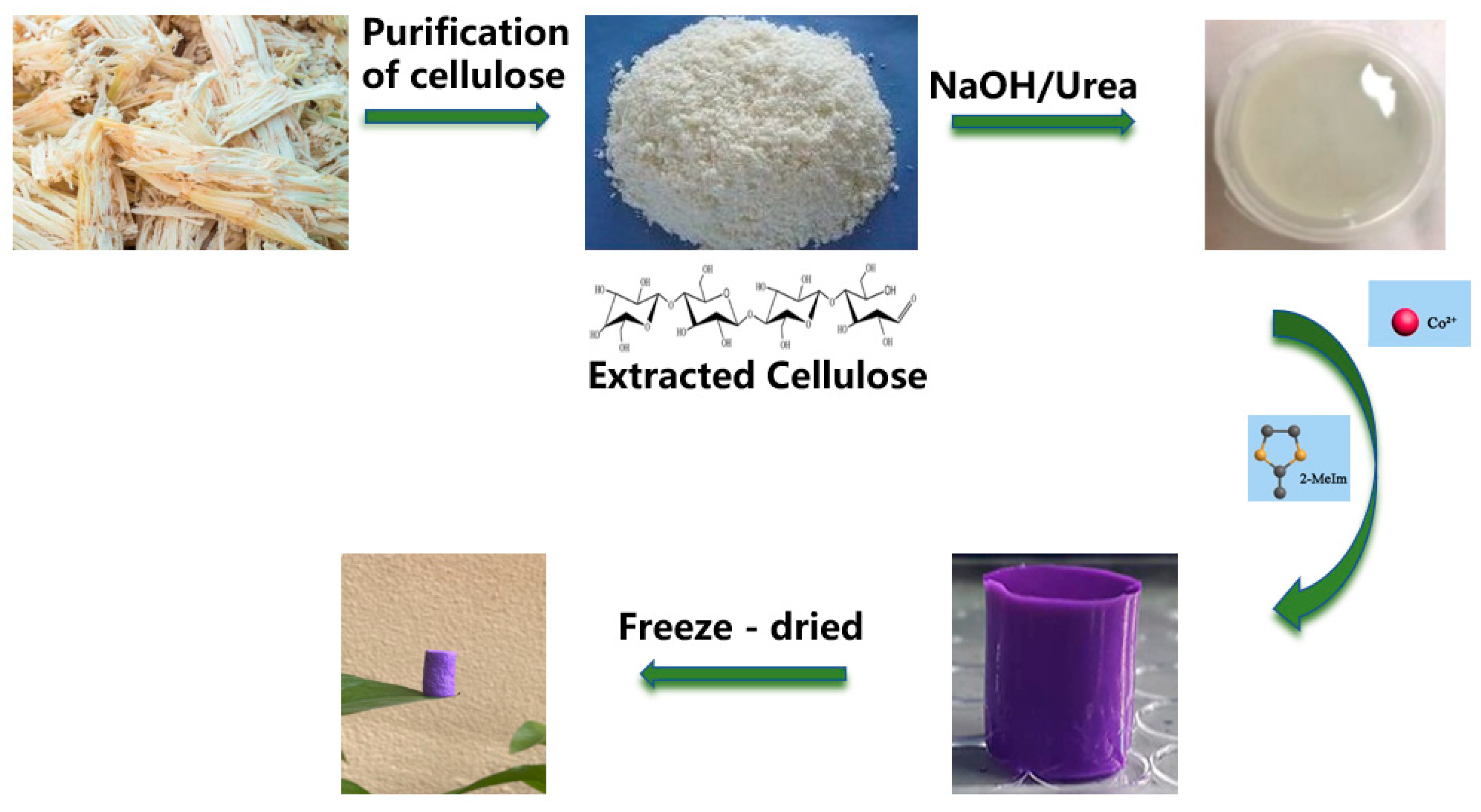 Polymers 13 00739 g001