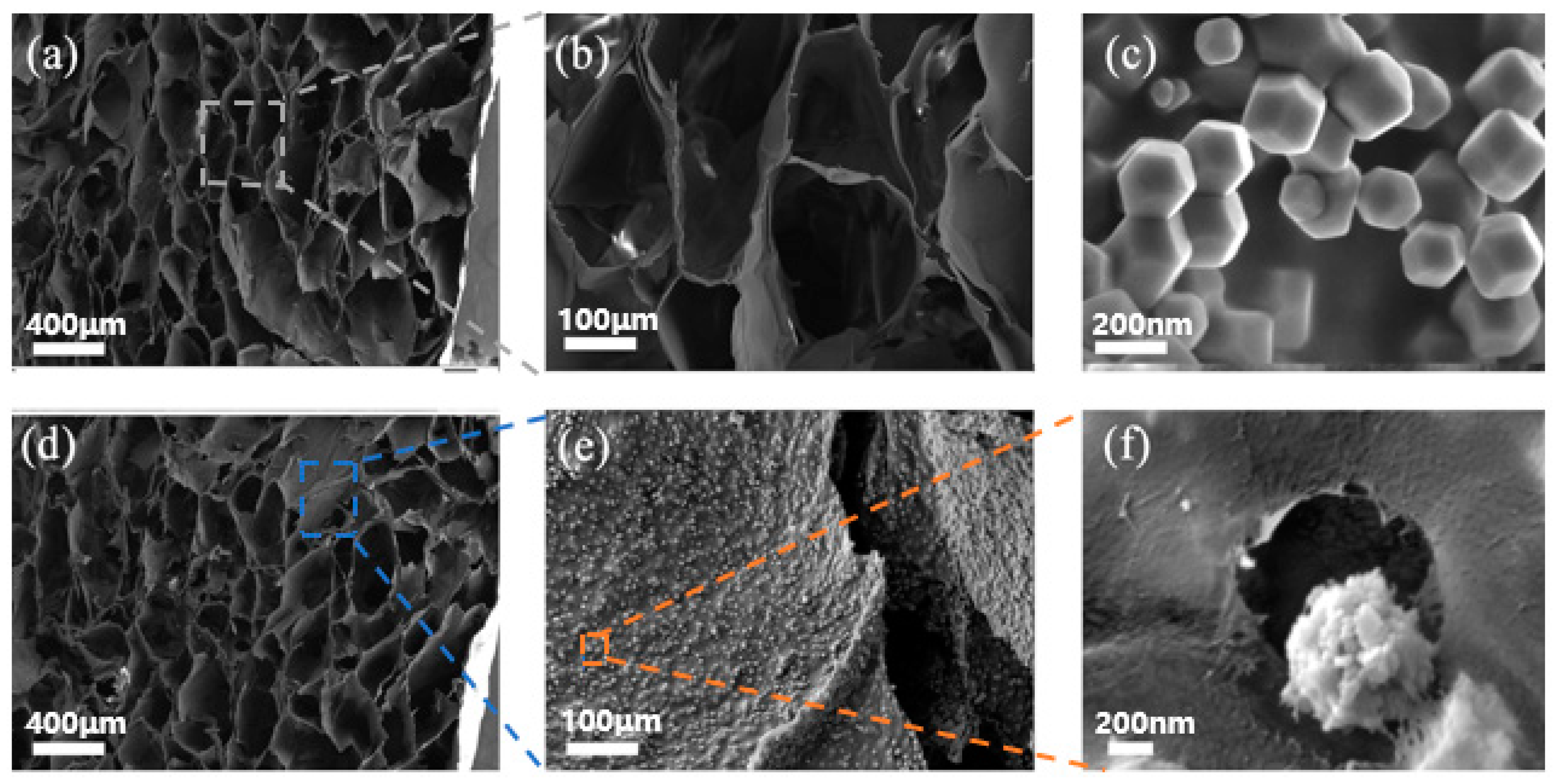 Polymers 13 00739 g002