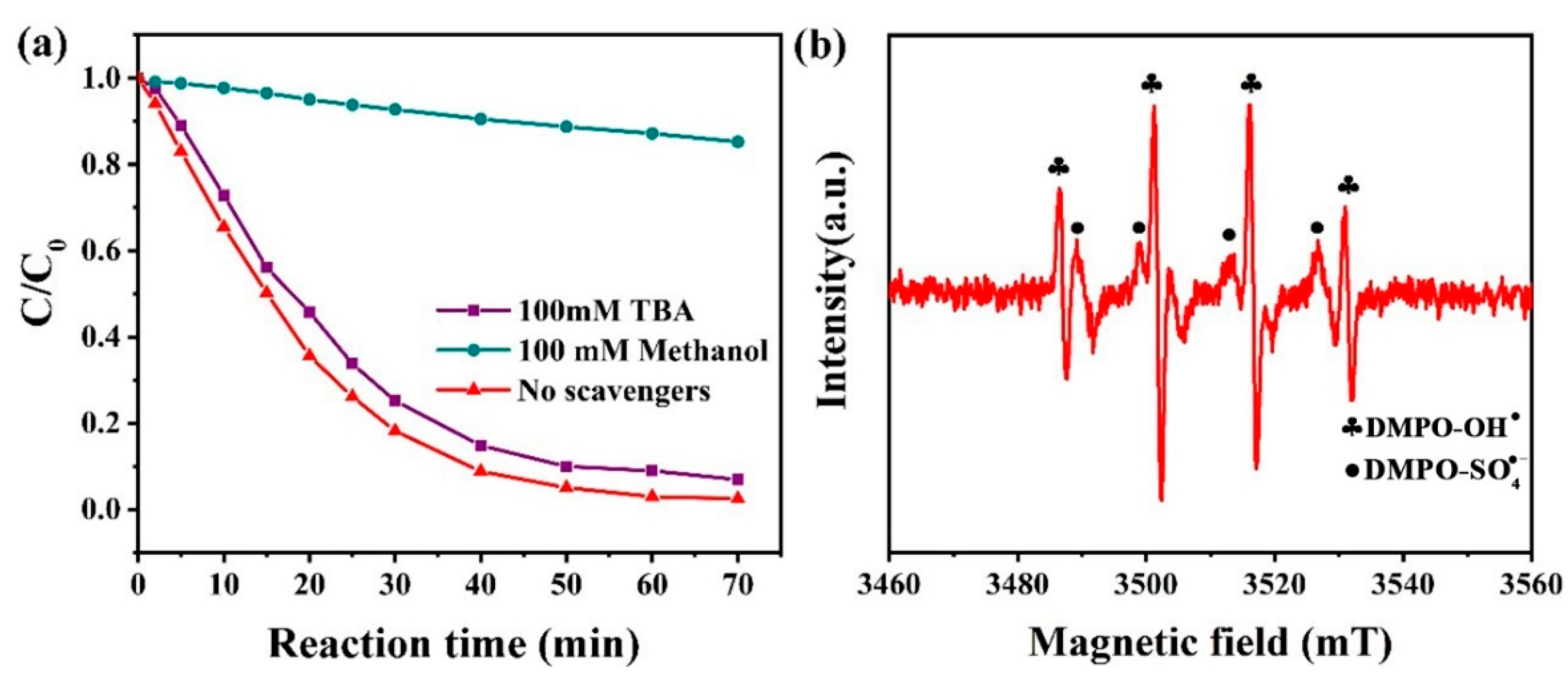 Polymers 13 00739 g006