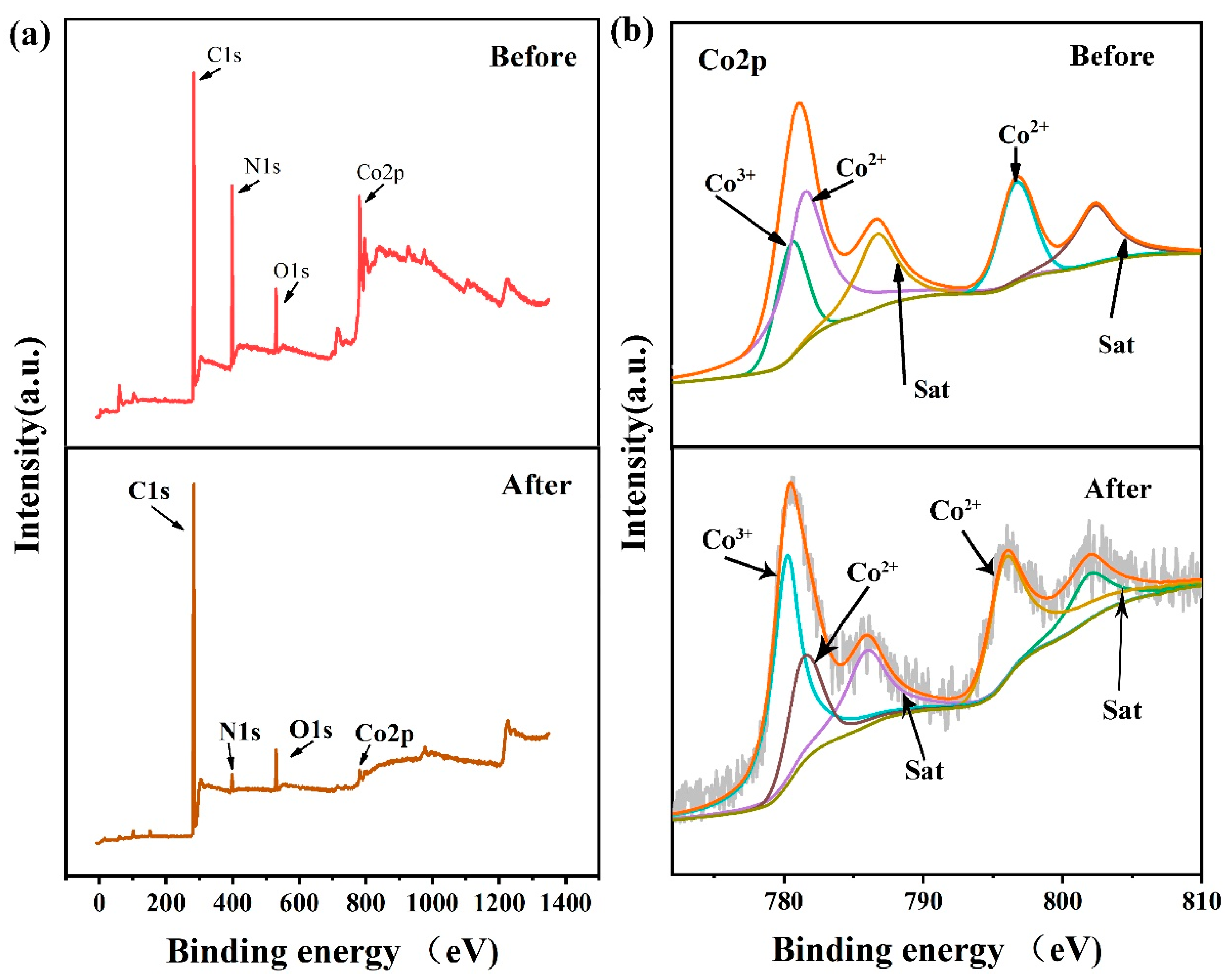 Polymers 13 00739 g007