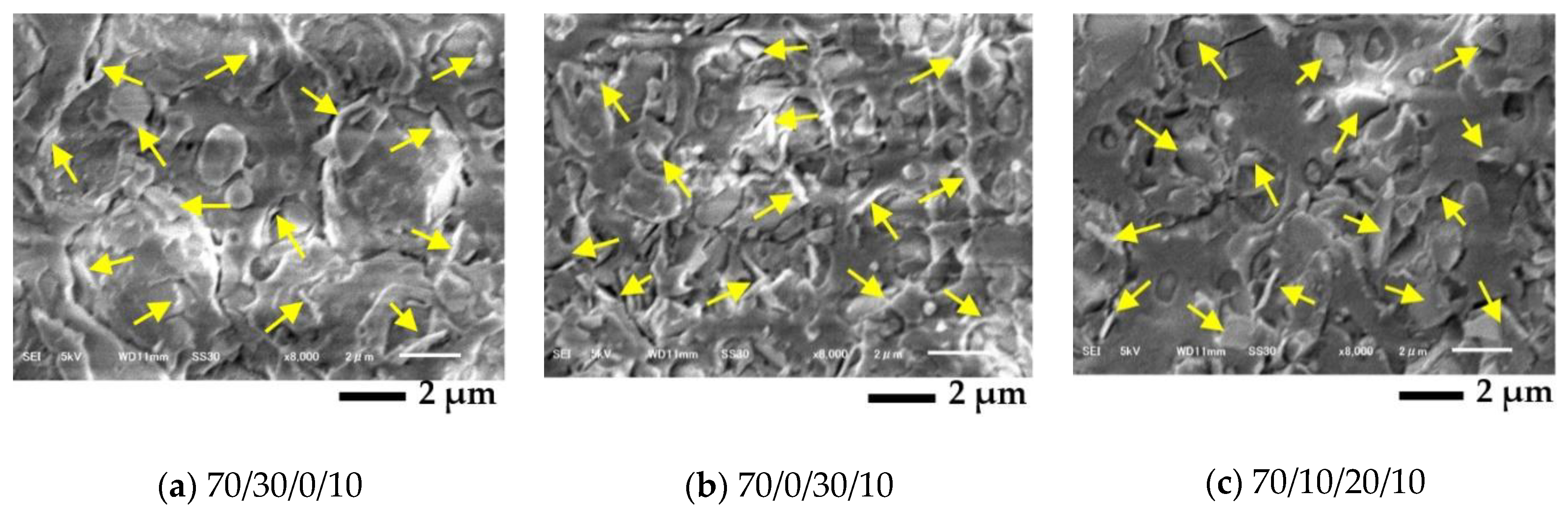 Polymers 13 00740 g007