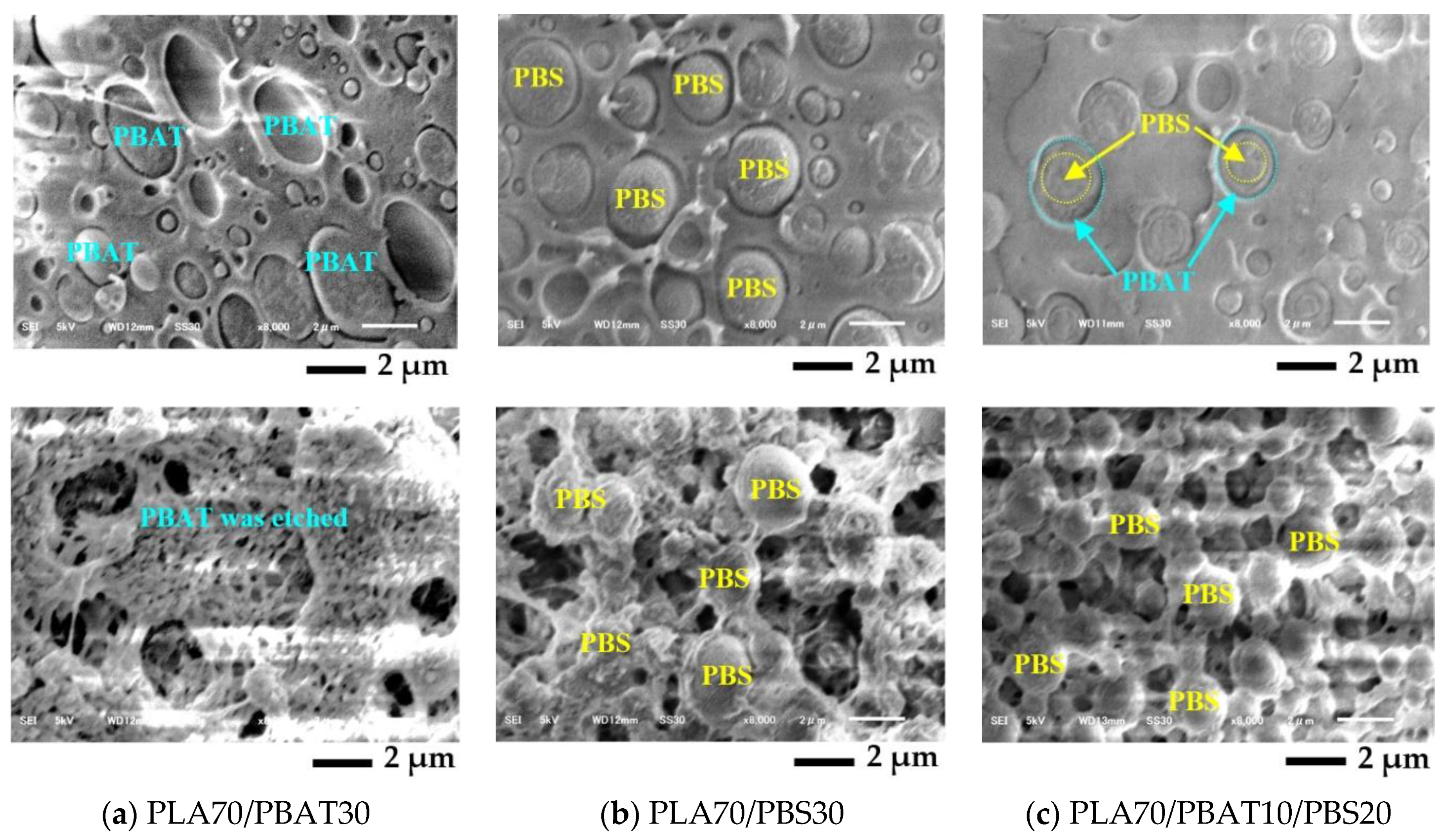 Polymers 13 00740 g008