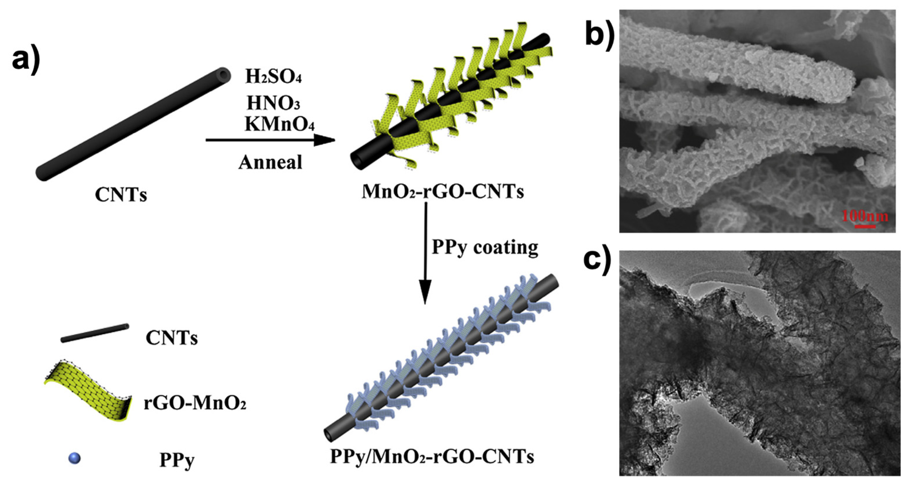 Carbon Nanomaterials Embedded in Conductive Polymers: A