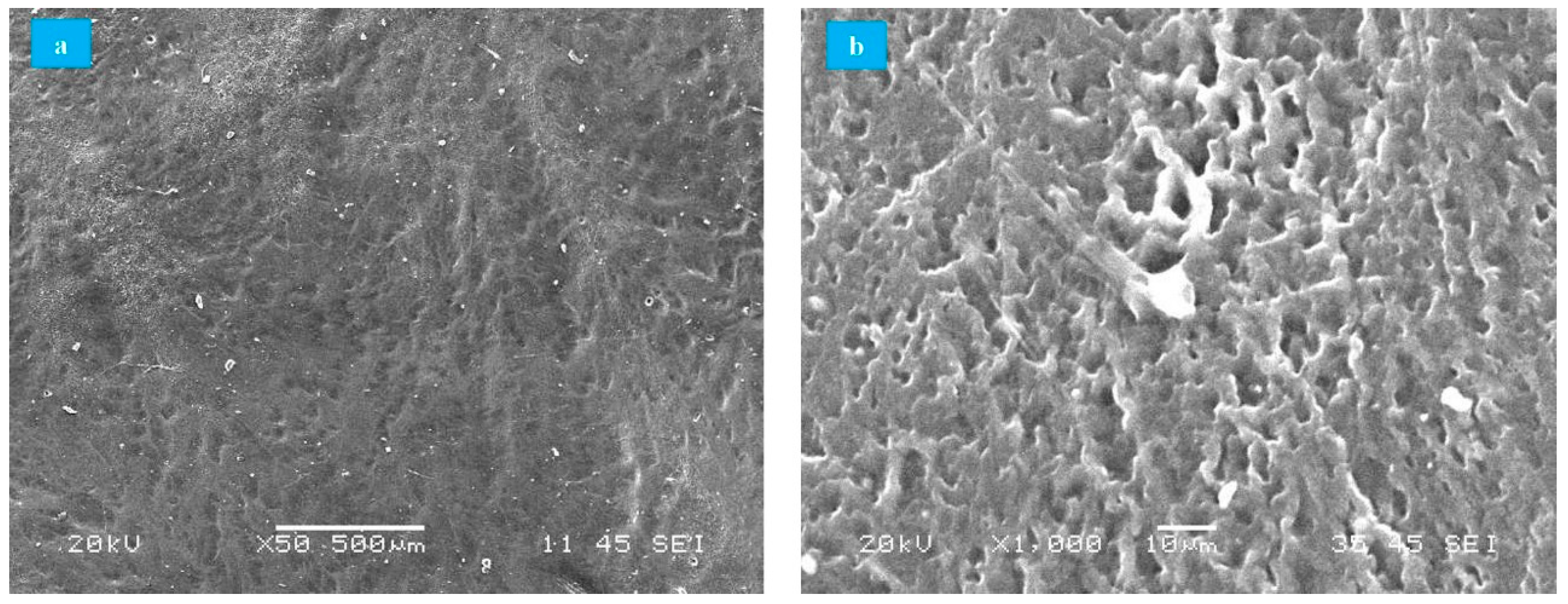 Polymers 13 00746 g003 Polymers 13 00746 g003