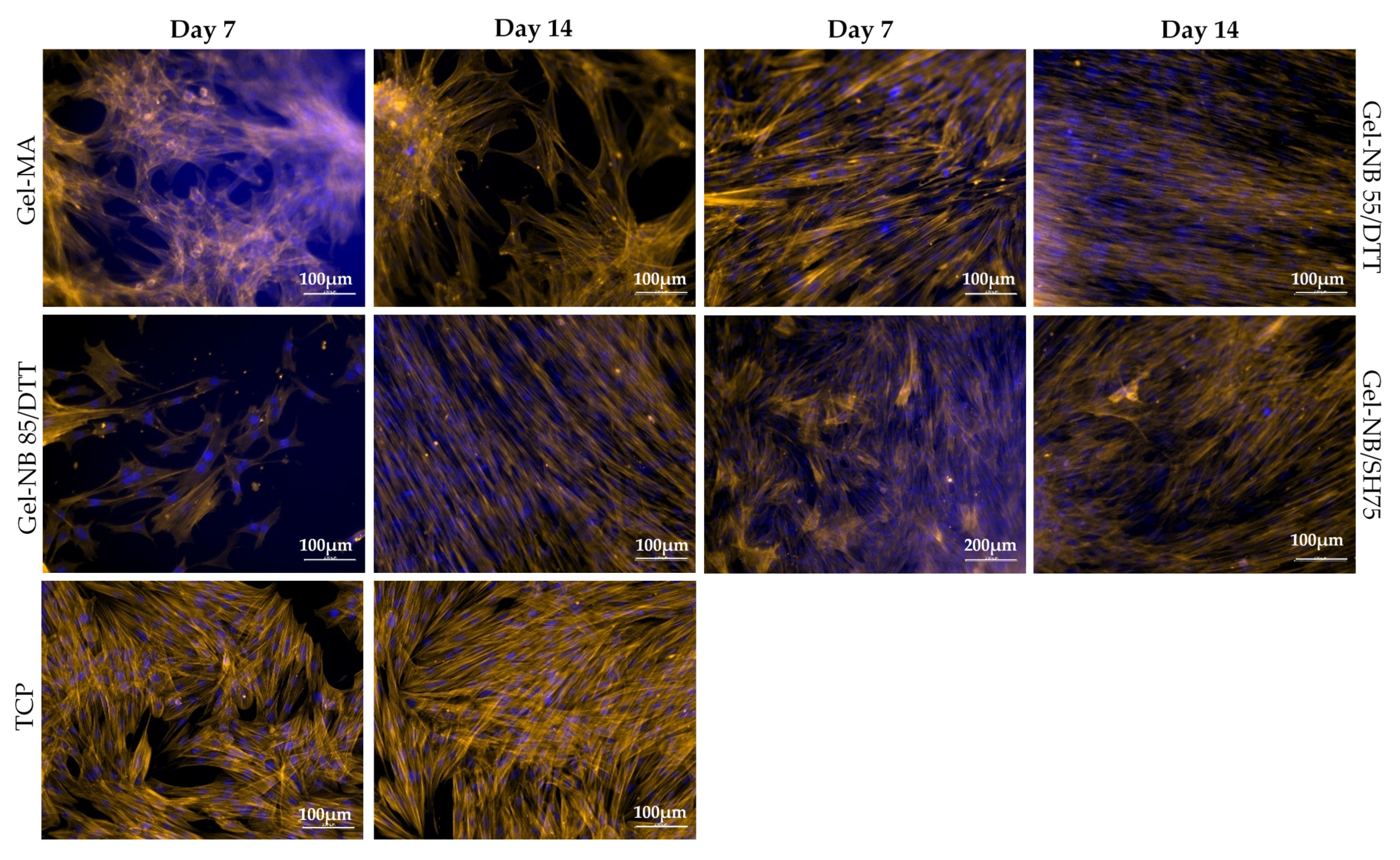 Polymers 13 00747 g006 Polymers 13 00747 g006