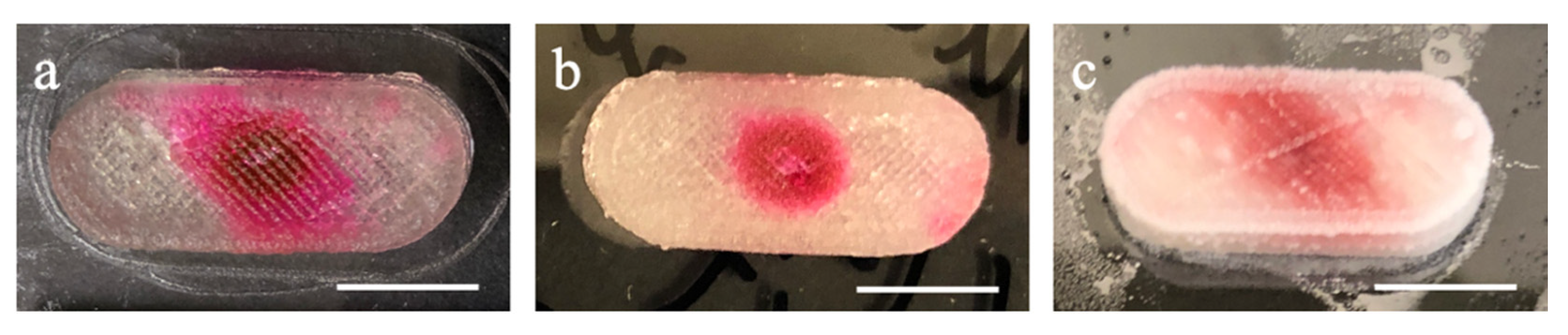 Polymers 13 00749 g004 Polymers 13 00749 g004