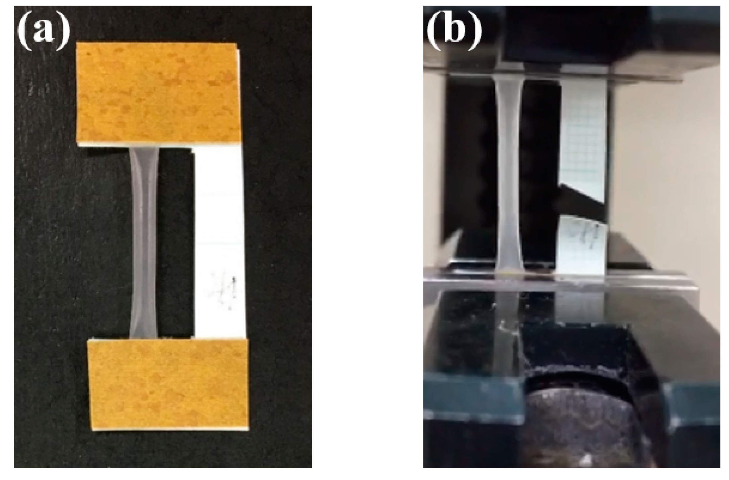 Polymers 13 00755 g002