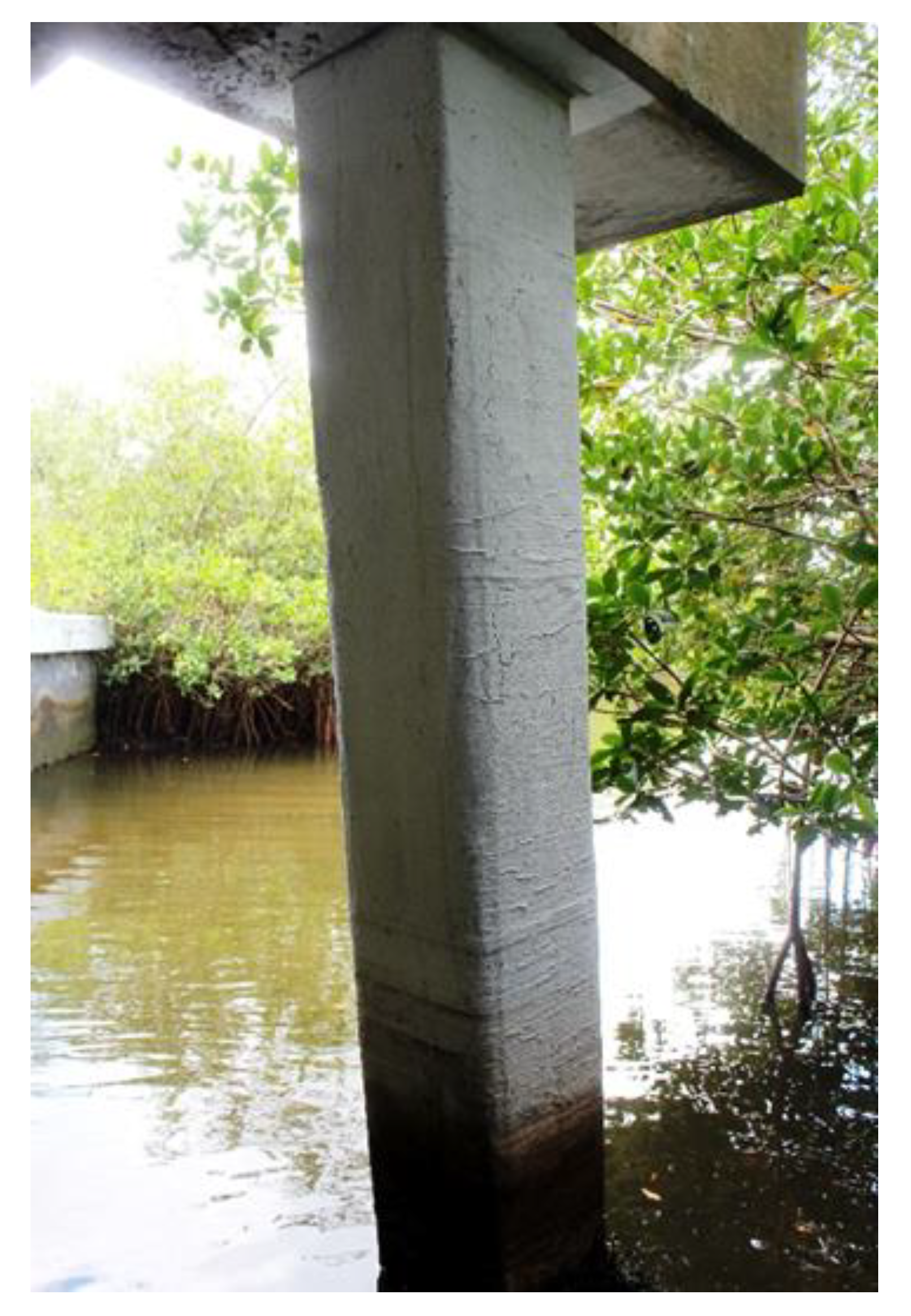 Polymers 13 00765 g003 Polymers 13 00765 g003