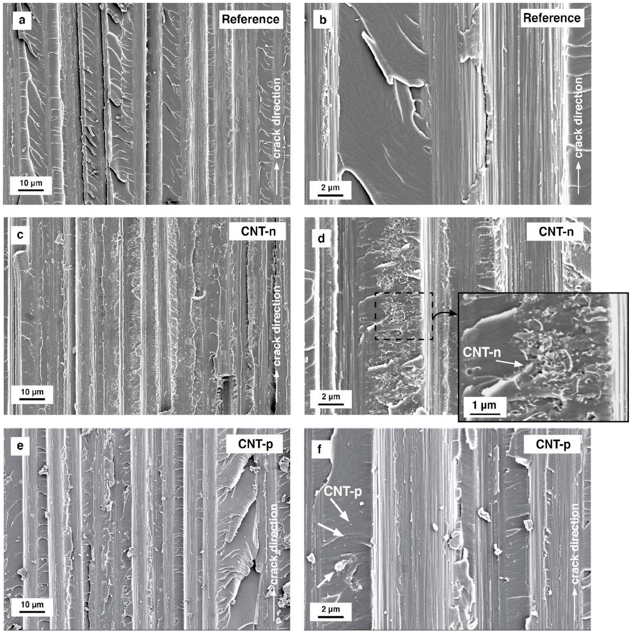 Polymers 13 00770 g010 Polymers 13 00770 g010