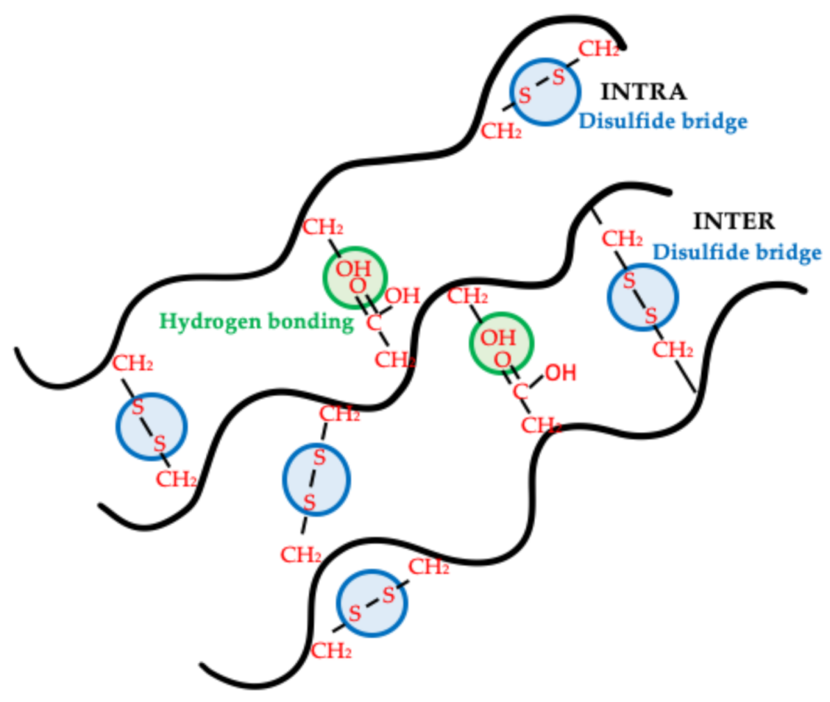Polymers 13 00772 g006 Polymers 13 00772 g006