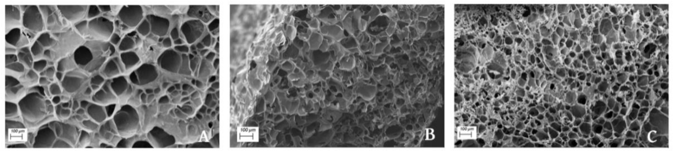 Polymers 13 00772 g008 Polymers 13 00772 g008