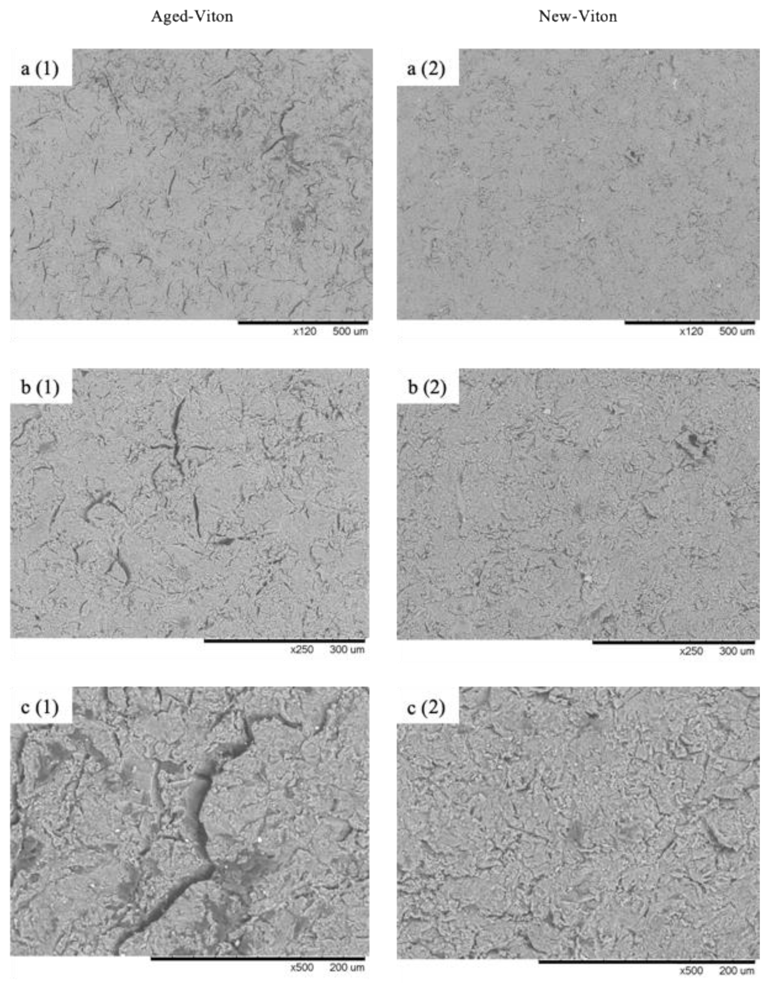 Polymers 13 00773 g006