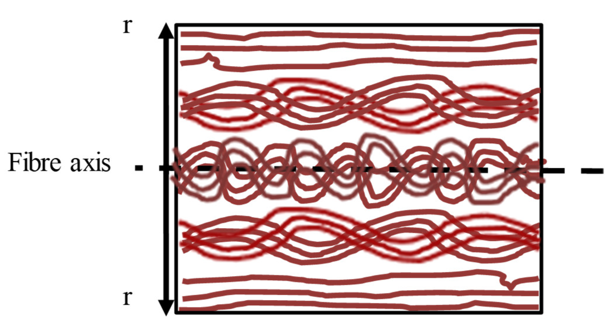 Polymers 13 00779 g011