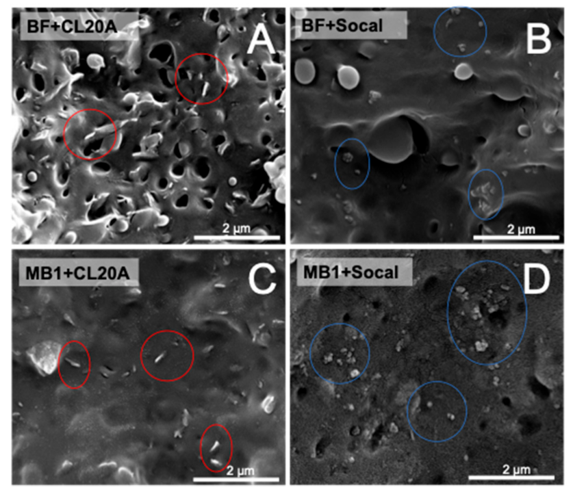 Polymers 13 00782 g004