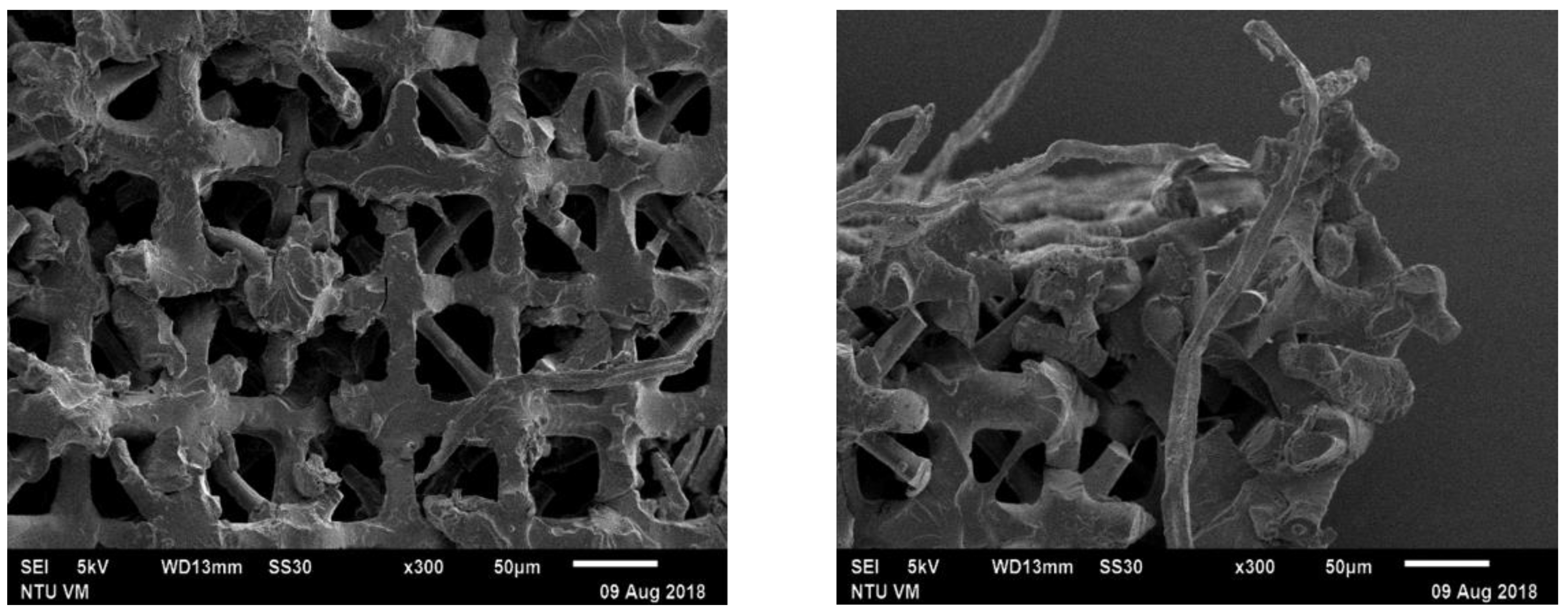 Polymers 13 00785 g011 Polymers 13 00785 g011