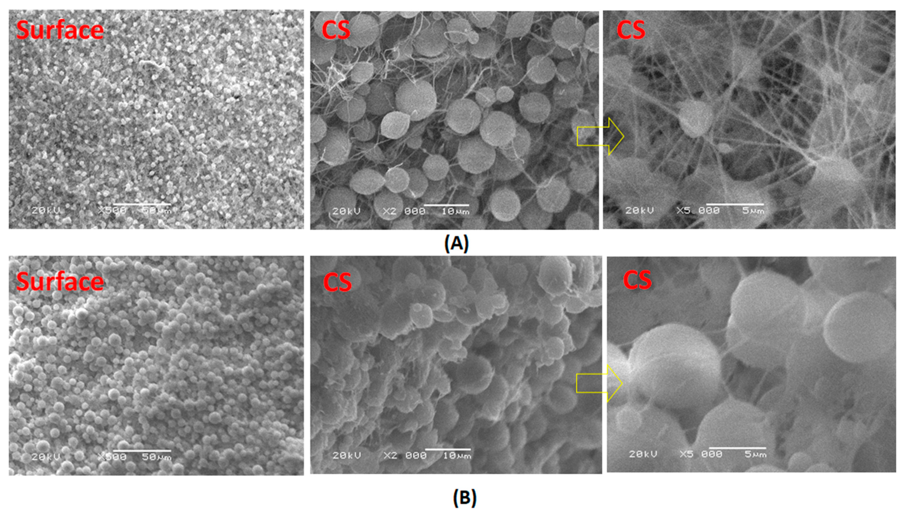 Polymers 13 00790 g007 Polymers 13 00790 g007
