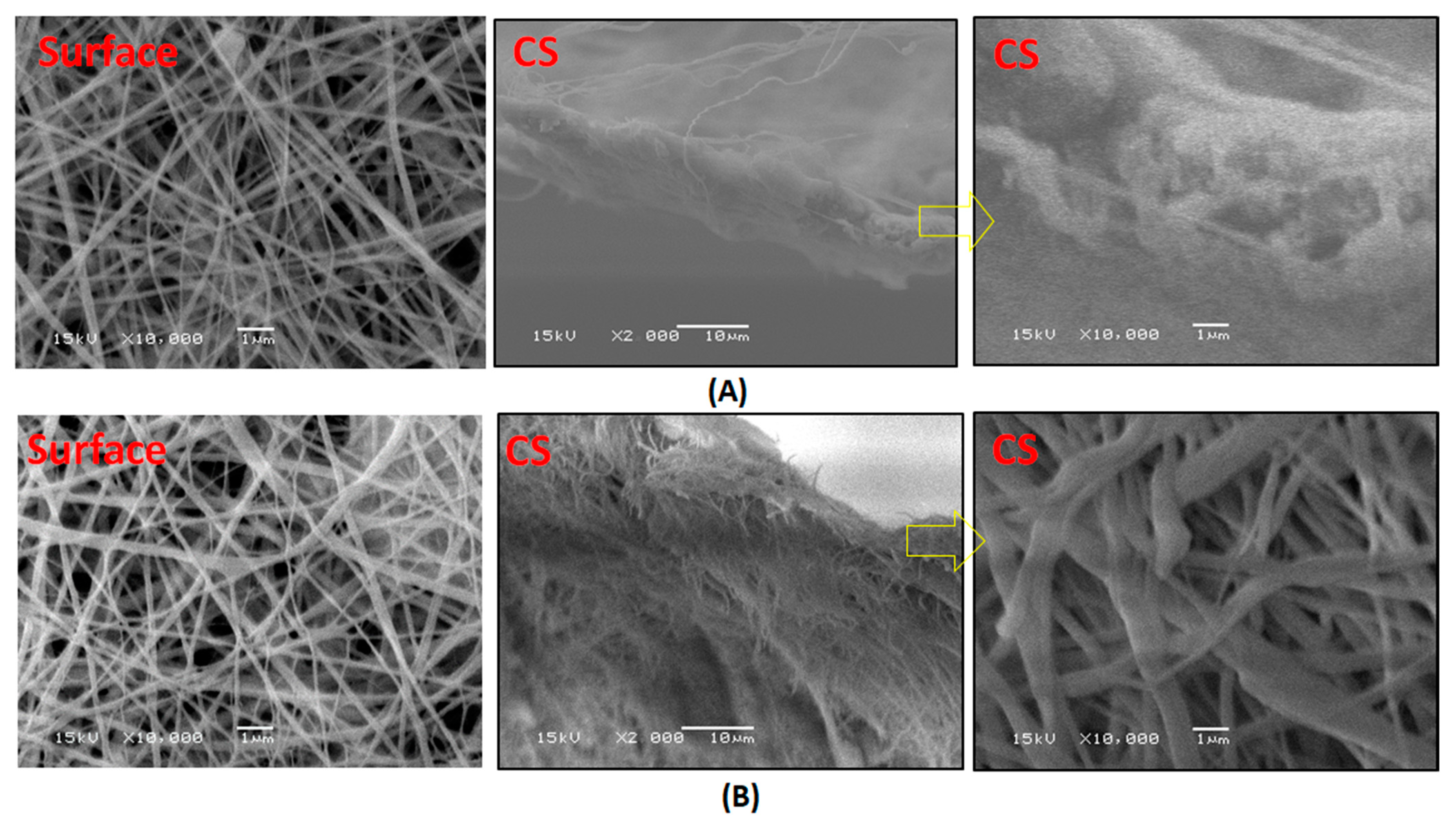 Polymers 13 00790 g008 Polymers 13 00790 g008