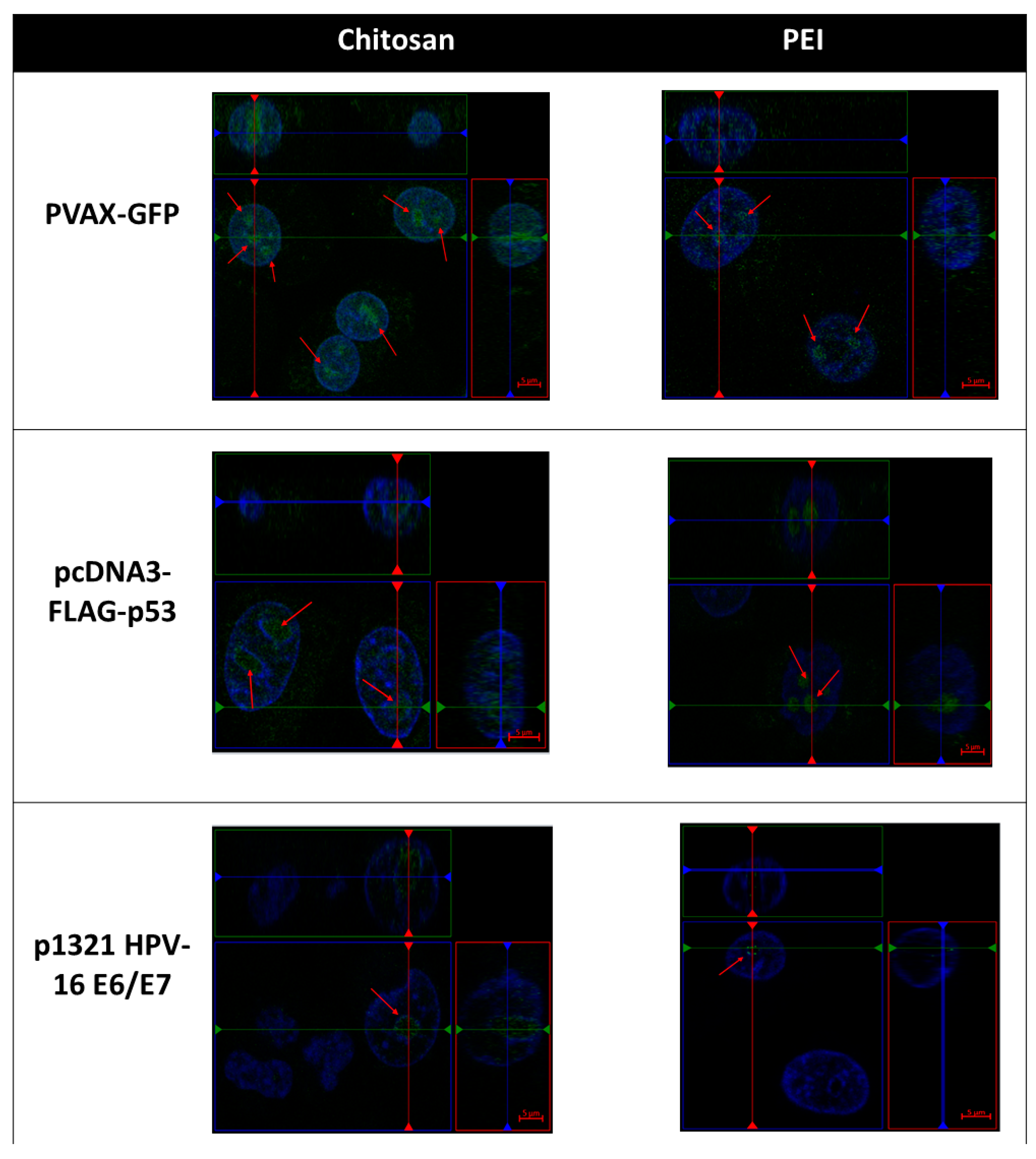 Polymers 13 00793 g005