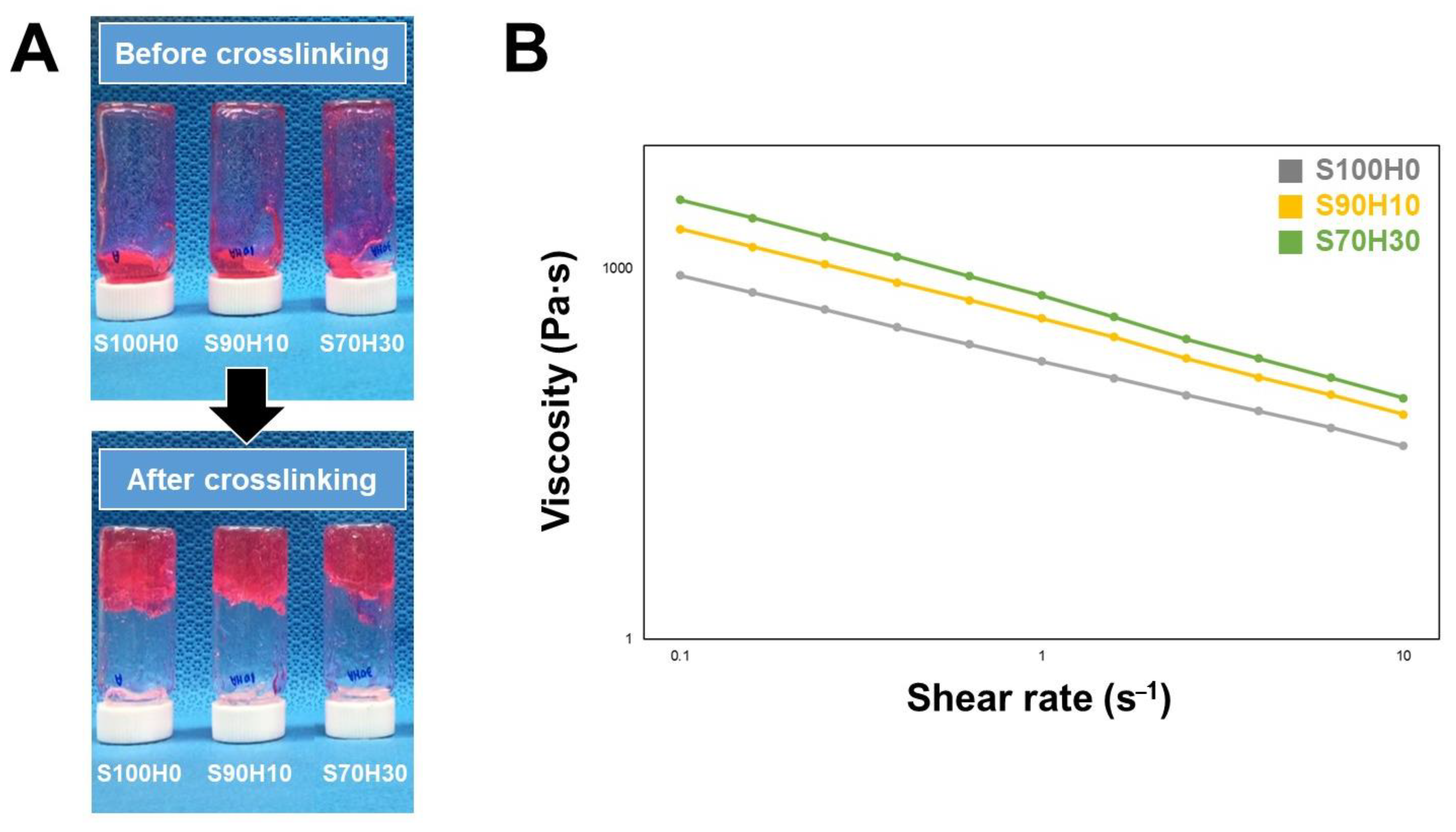 Polymers 13 00794 g002 Polymers 13 00794 g002