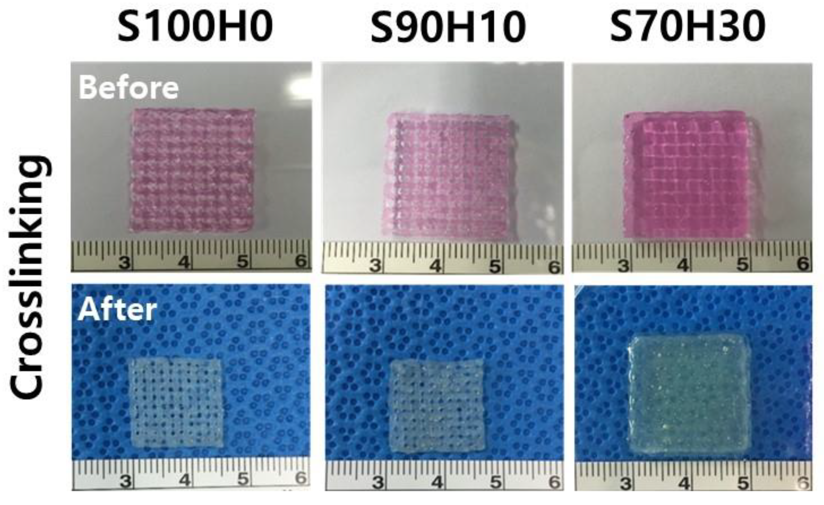 Polymers 13 00794 g005 Polymers 13 00794 g005